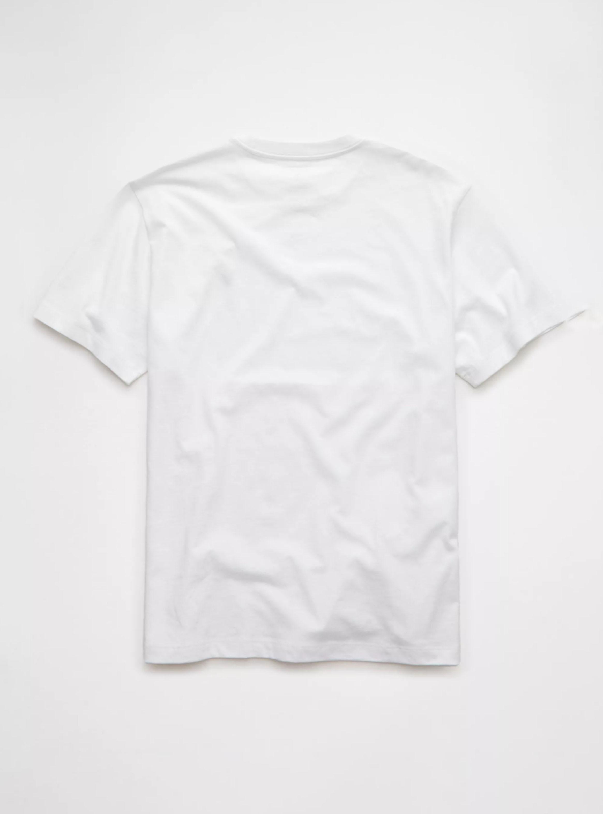 Polera Ícono AE-4