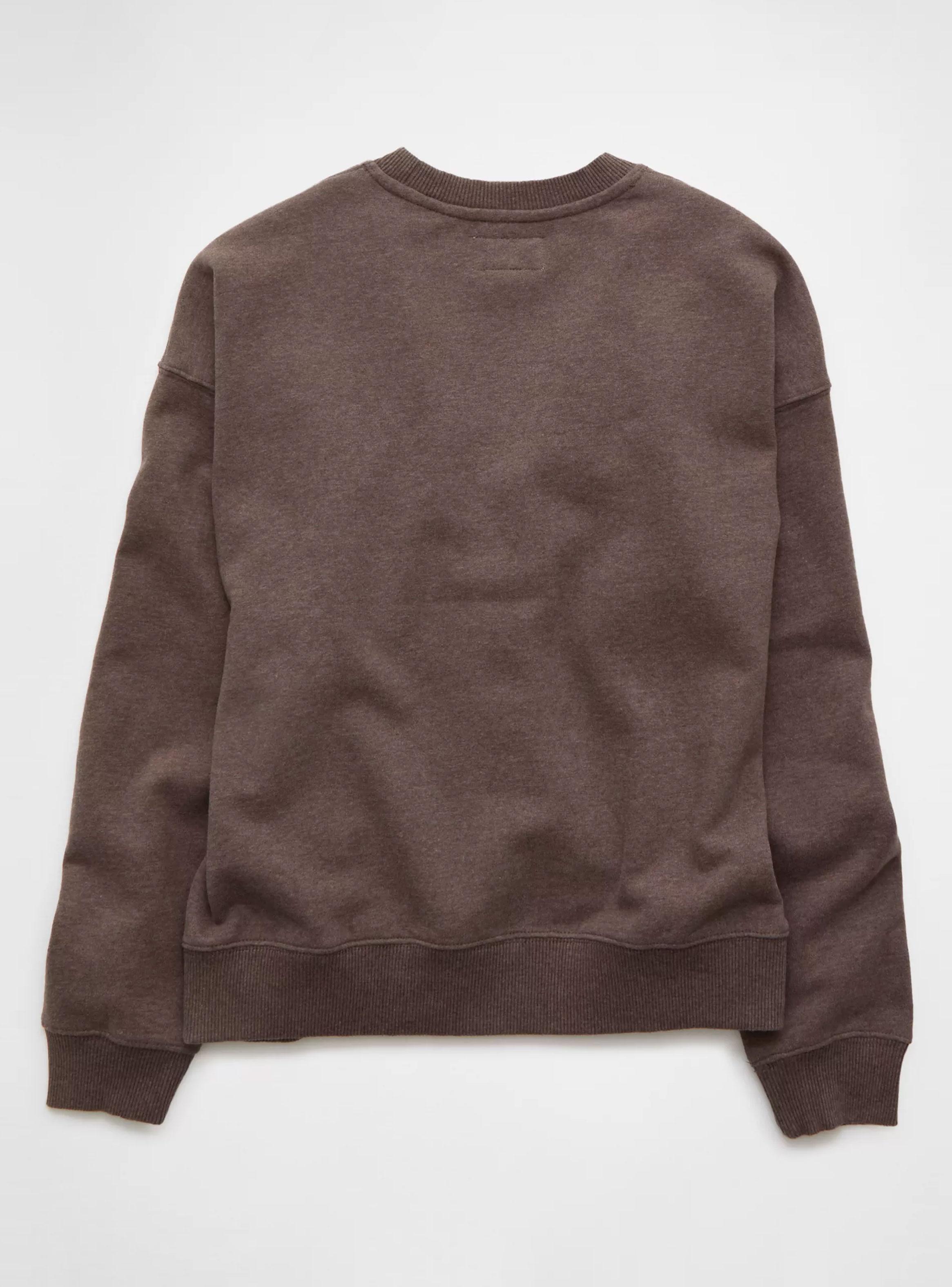 Polerón Ae Crew Neck Snoopy-4