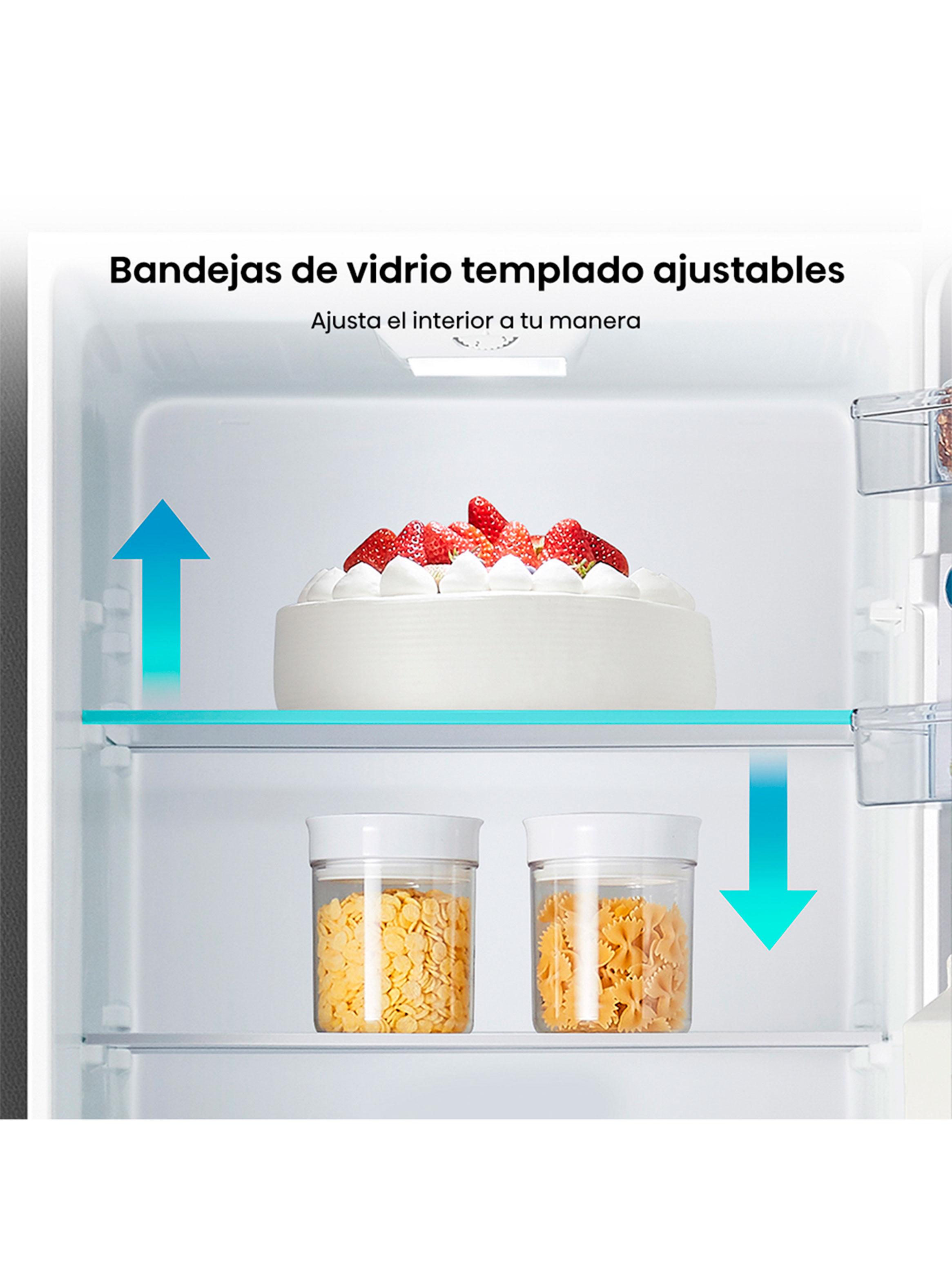Refrigerador Bottom Freezer Frío Directo 165 Litros RD-22DC-8