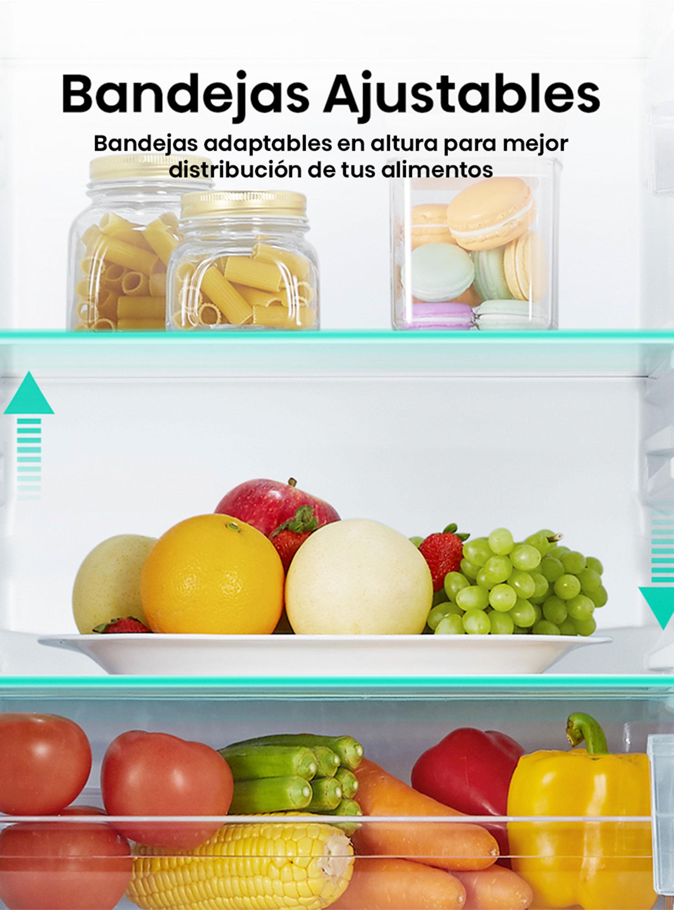 Refrigerador Bottom Freezer Frío Directo 175 Litros RD-22DC-5