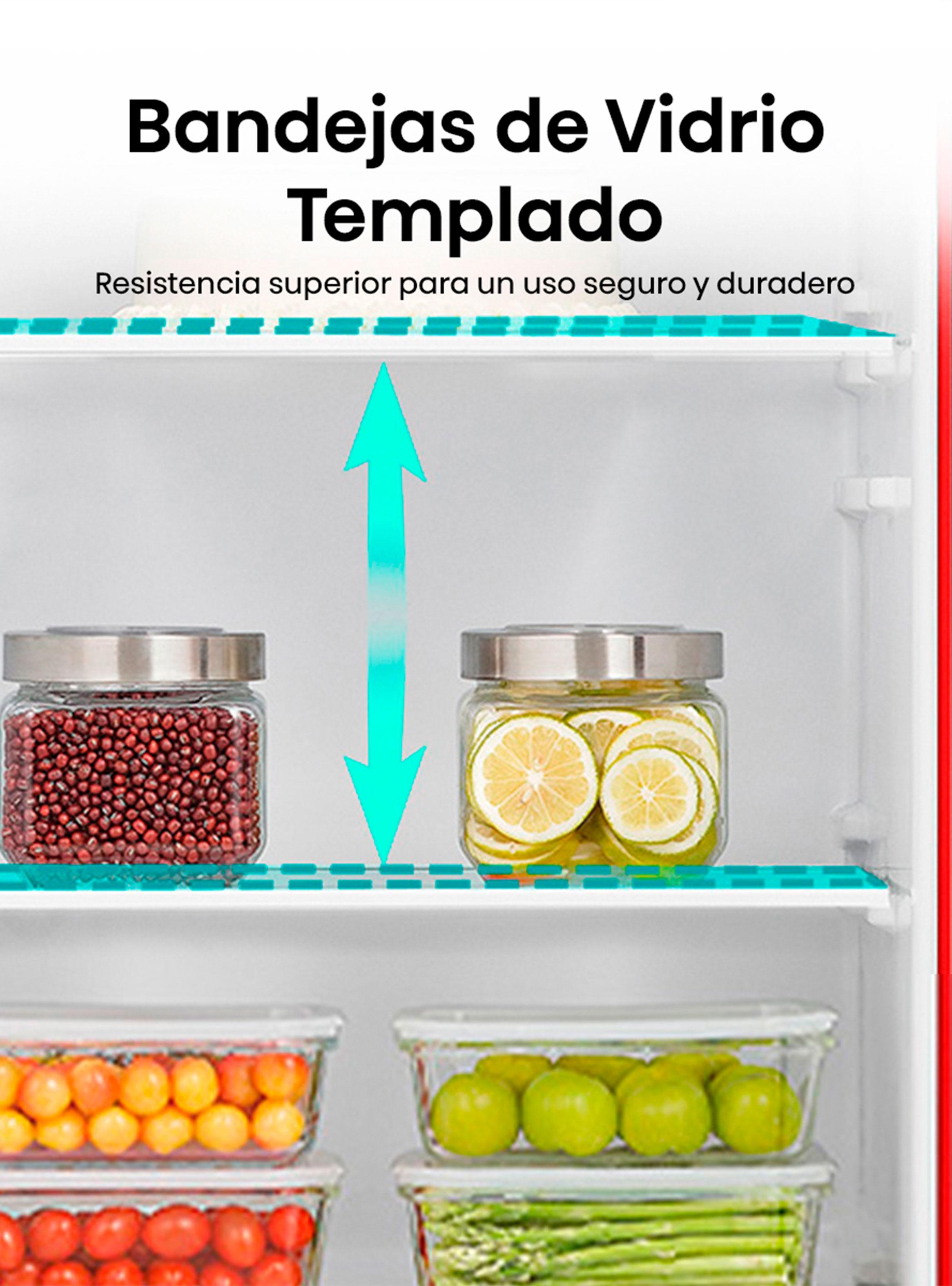 Refrigerador Bottom Freezer Frío Directo 175 Litros RD-22DC-4