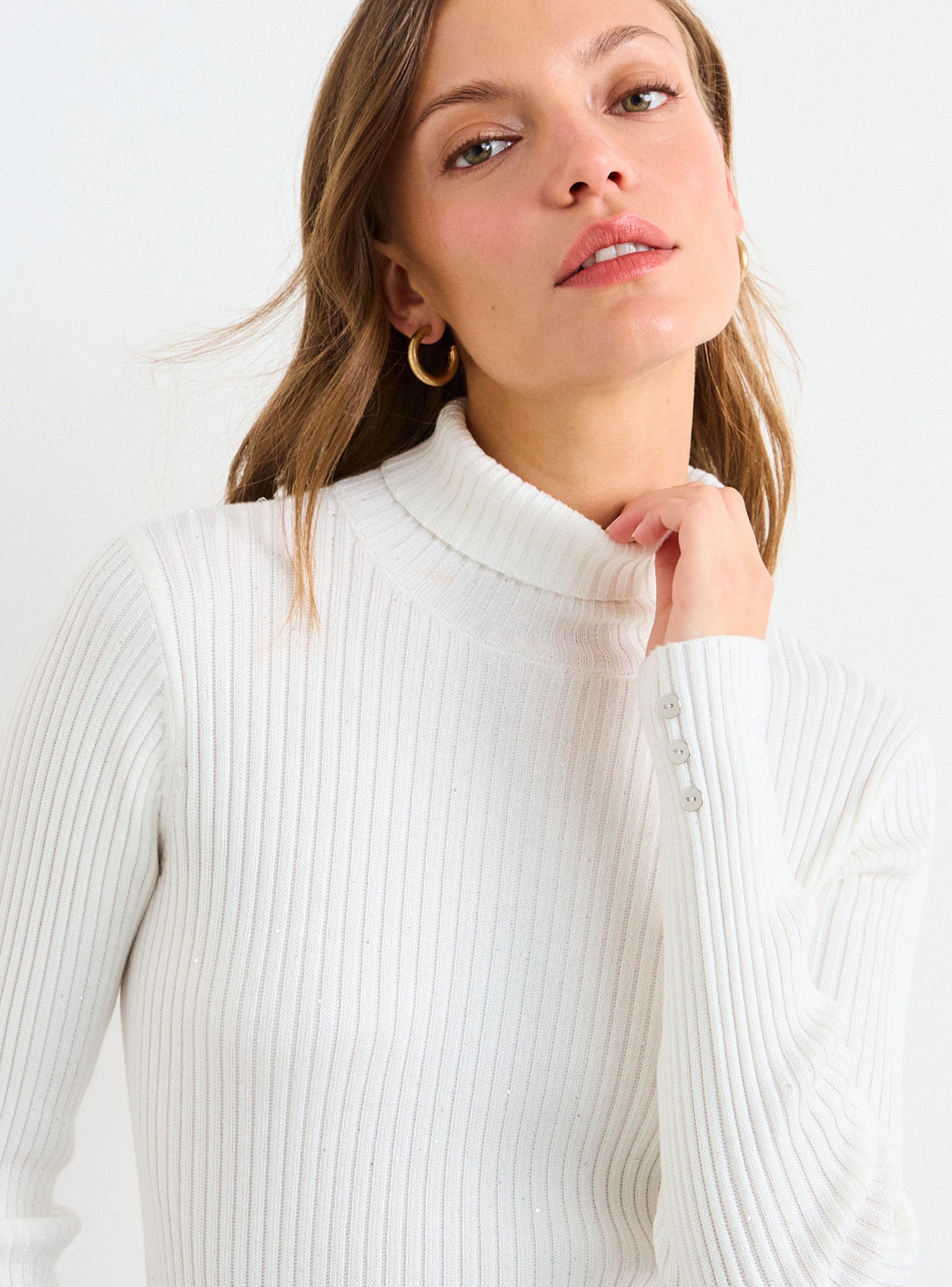 Sweater Liso Beatle Regular-3