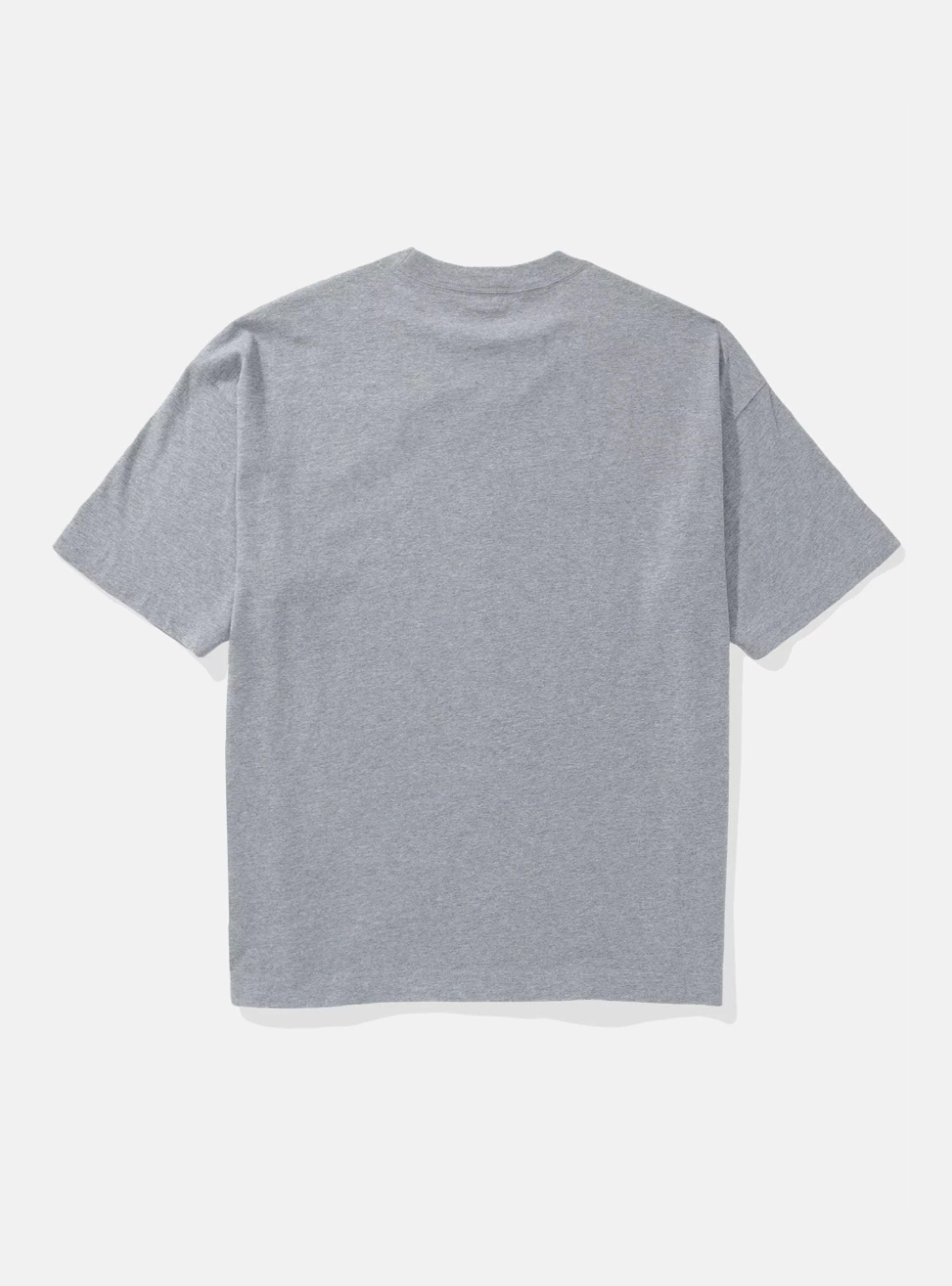 Polera Extragrande AE con Gráfico-3