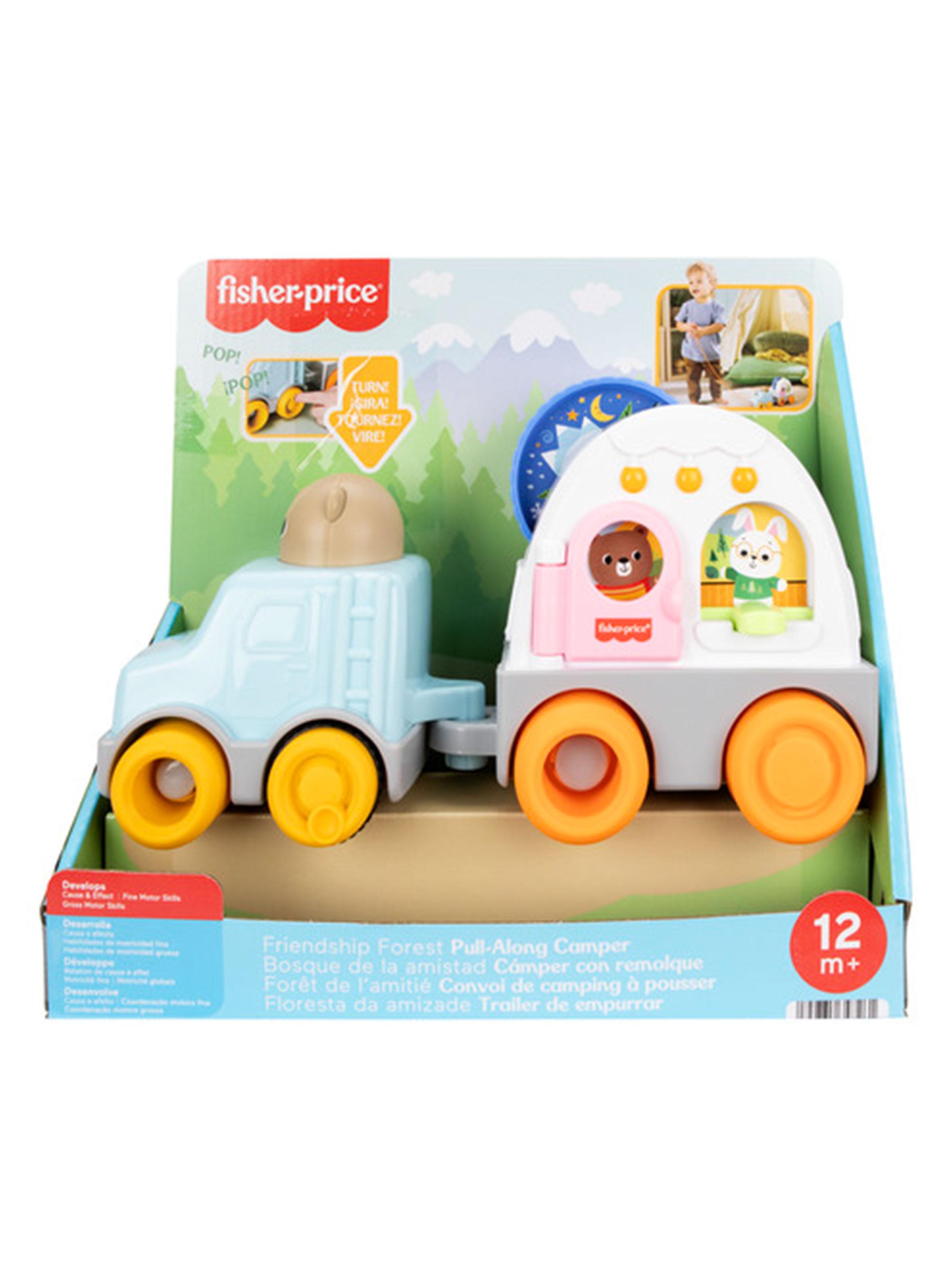 Carrito de Arrastre Camper de Paseo-1