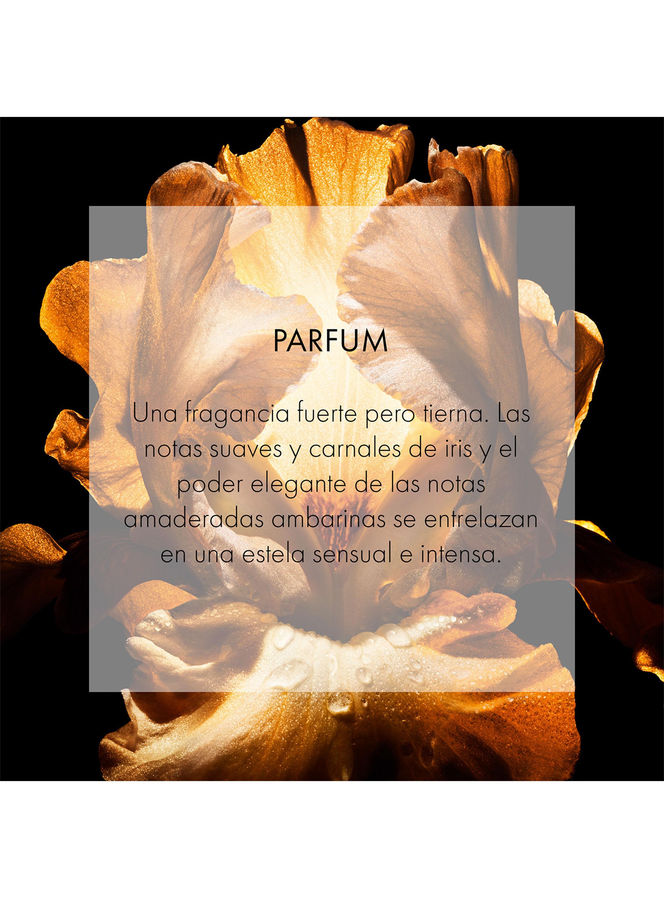 Perfume Dior Homme Parfum 125 ml-3