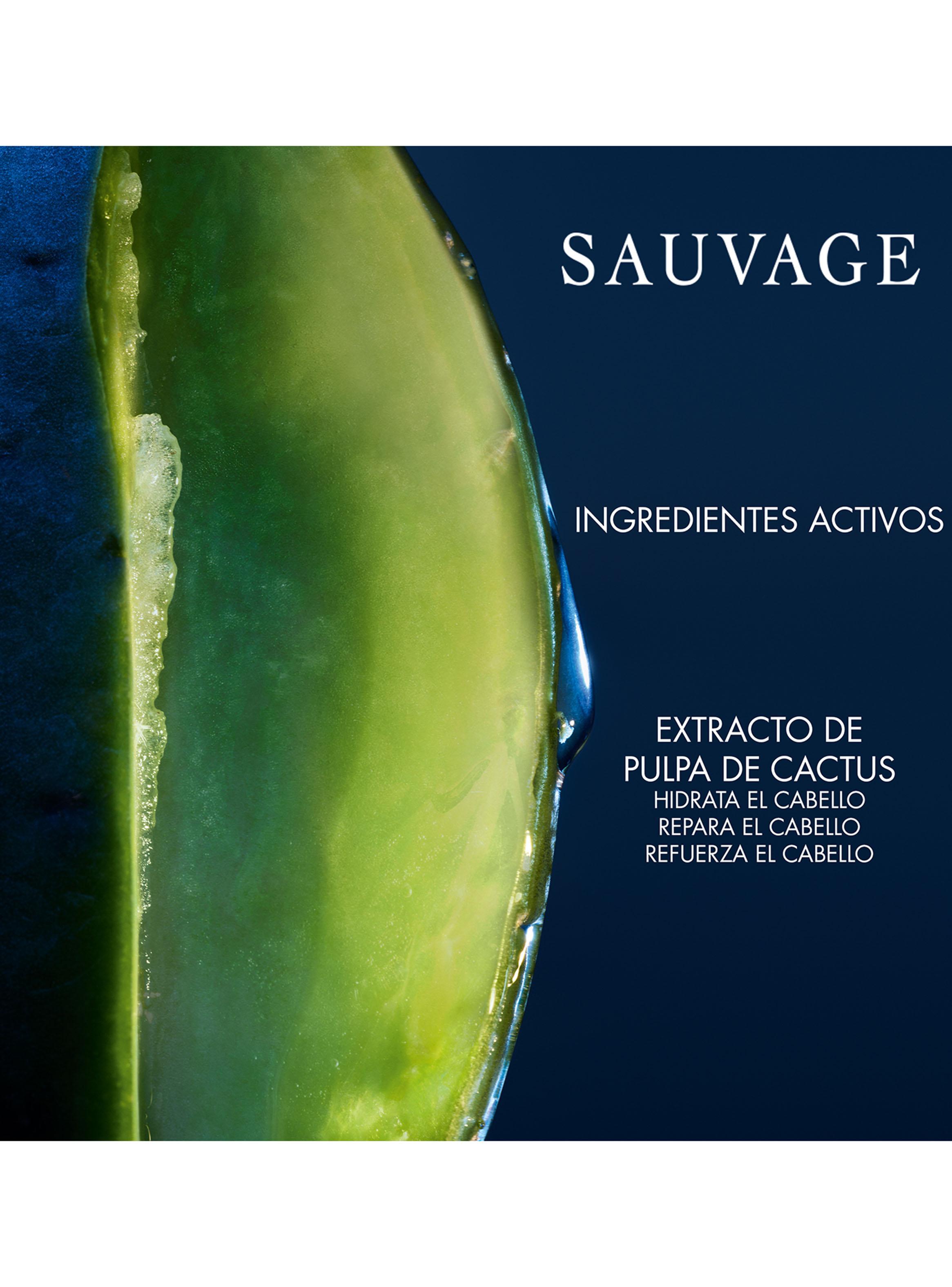 Sauvage Shampoo Hidratante 250 ml-3