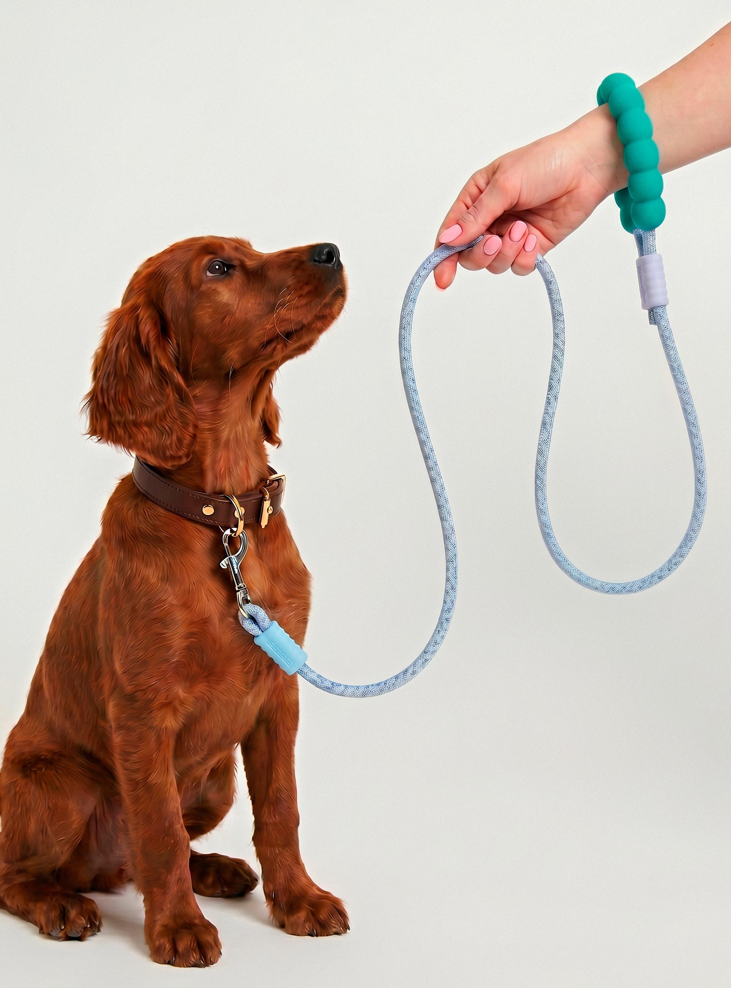Correa Mascota Colores Pets Collection-0