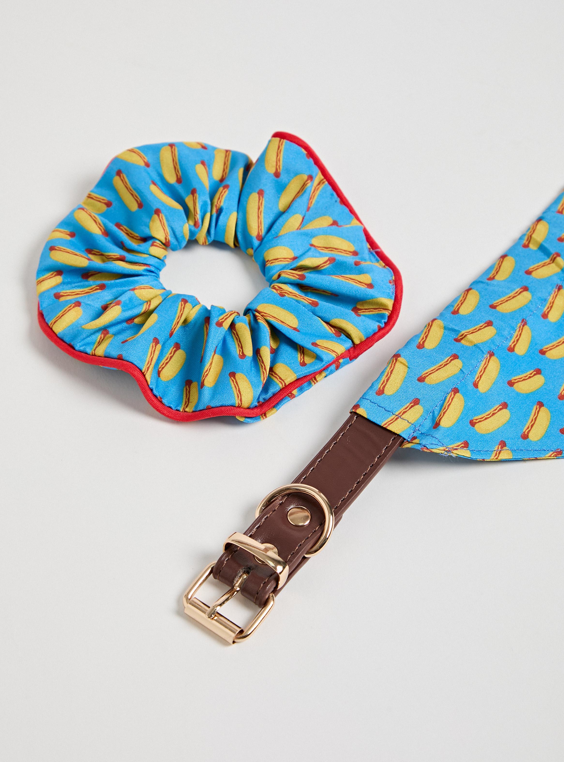 Set de Accesorios Match Bandana y Colet Pets Collection-3
