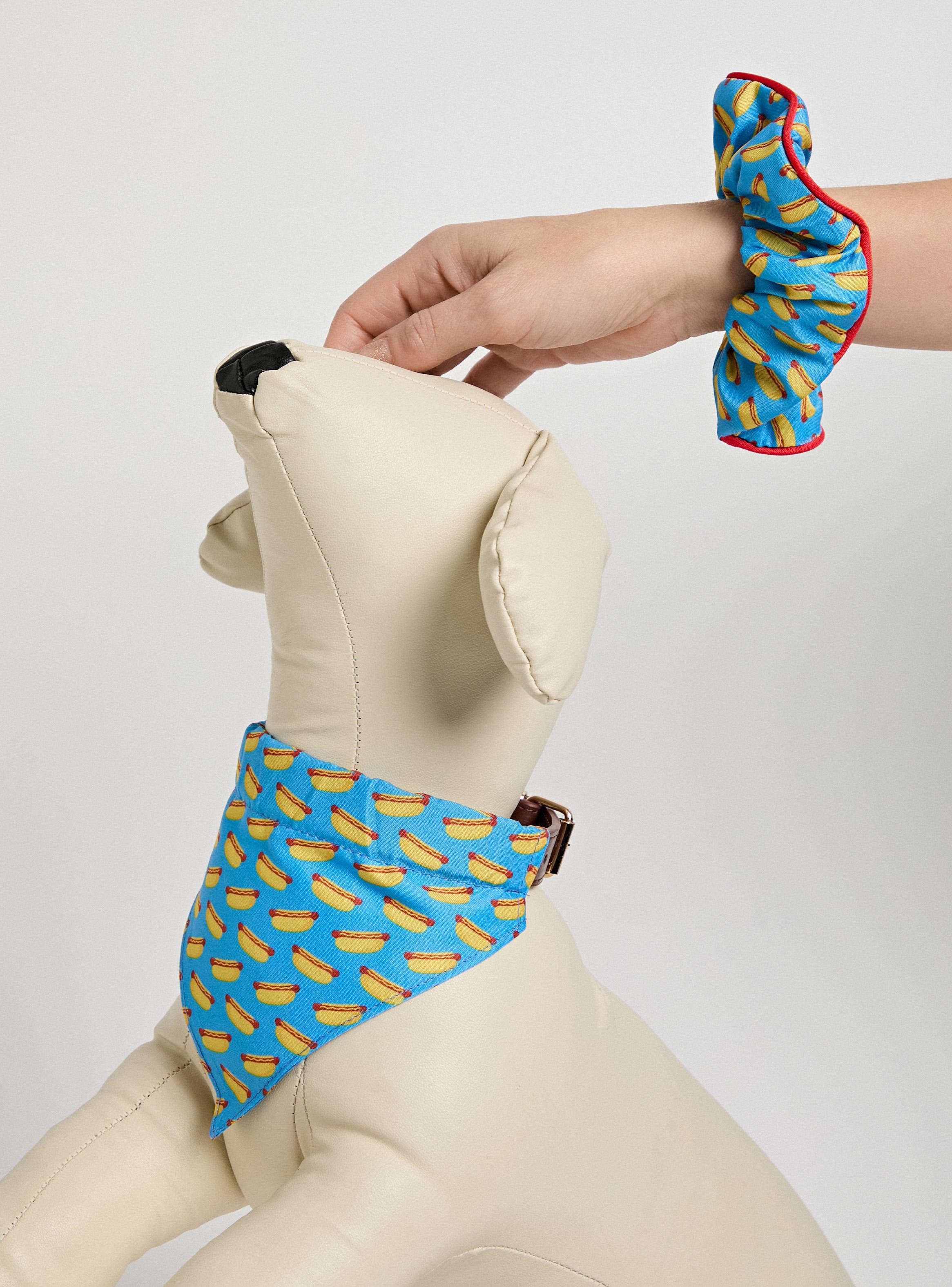 Set de Accesorios Match Bandana y Colet Pets Collection-2