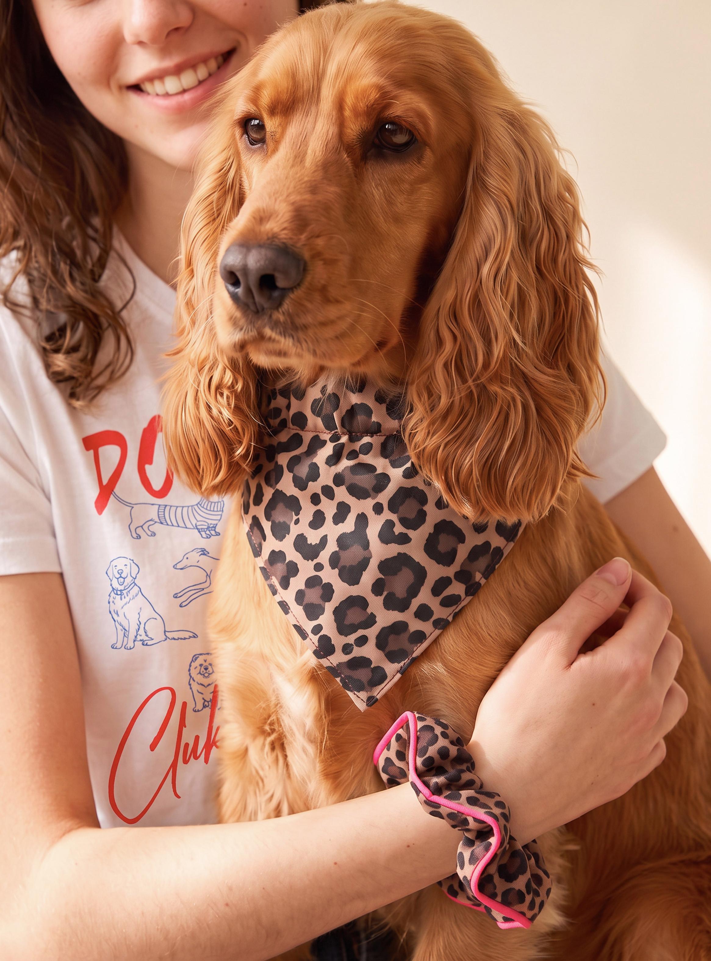 Set de Accesorios Match Bandana y Colet Pets Collection-0