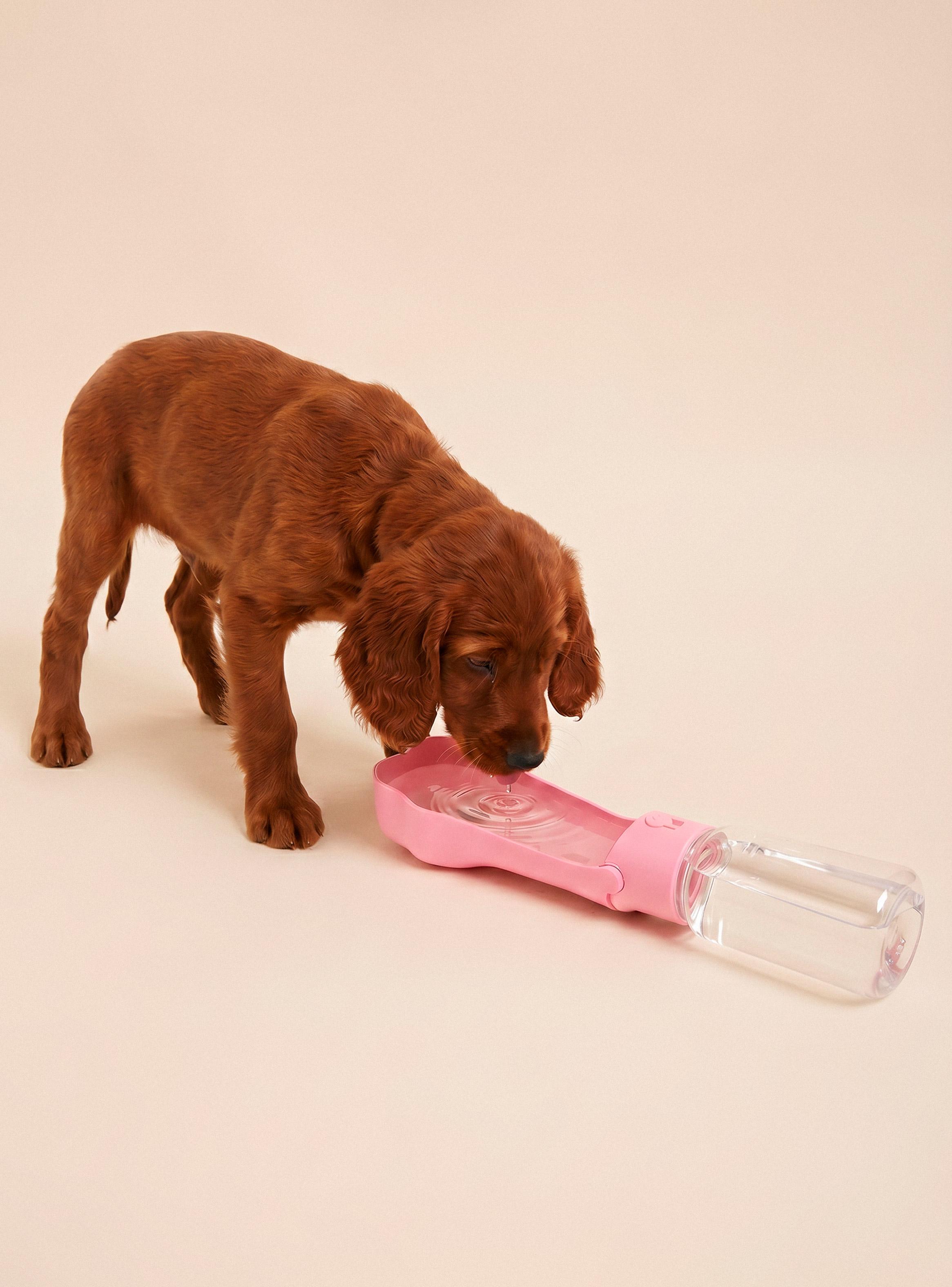 Botella de Agua para Perros Pets Collection-0