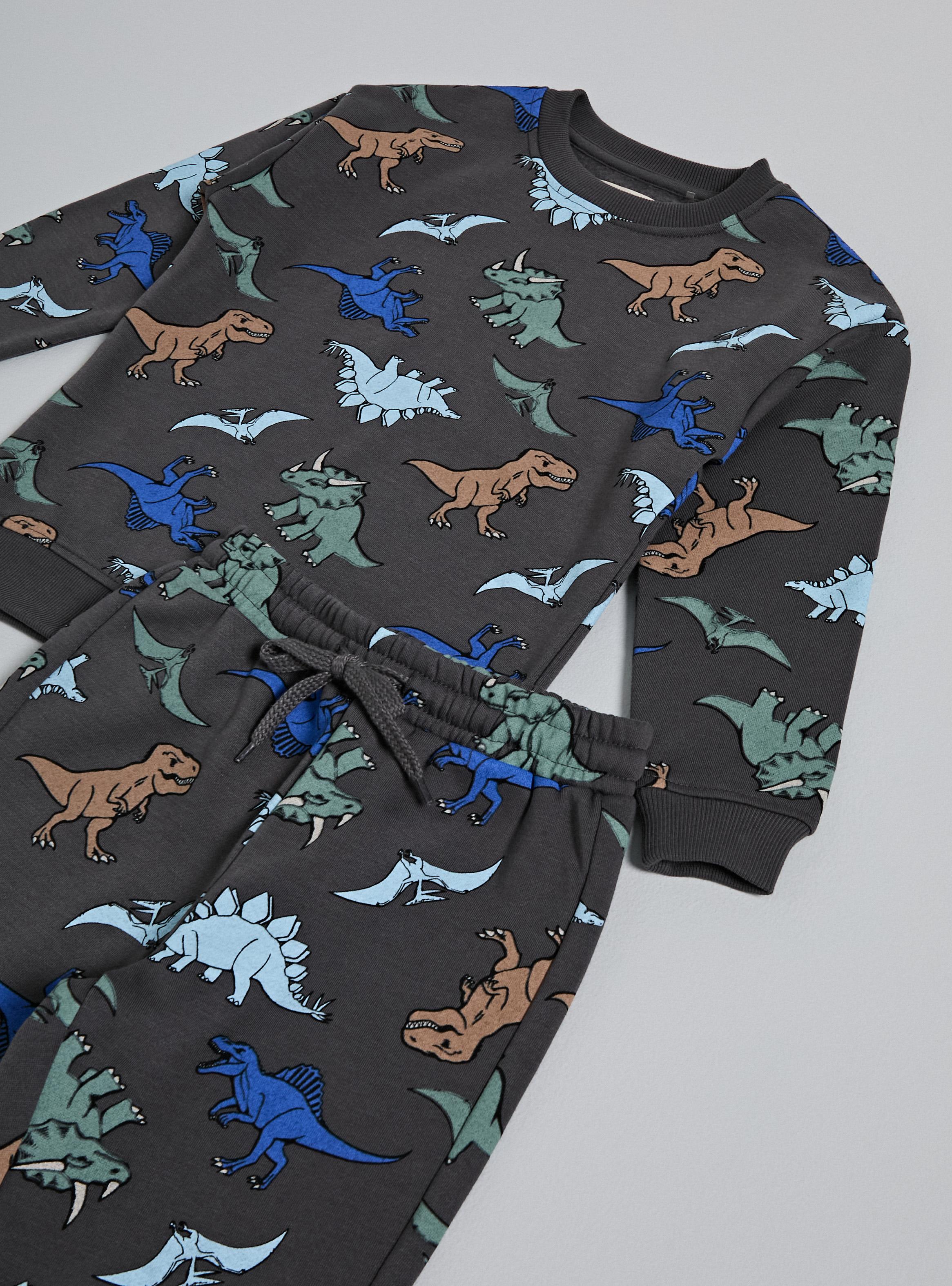 Buzo Conjunto Full Estampado Dinosaurios-3