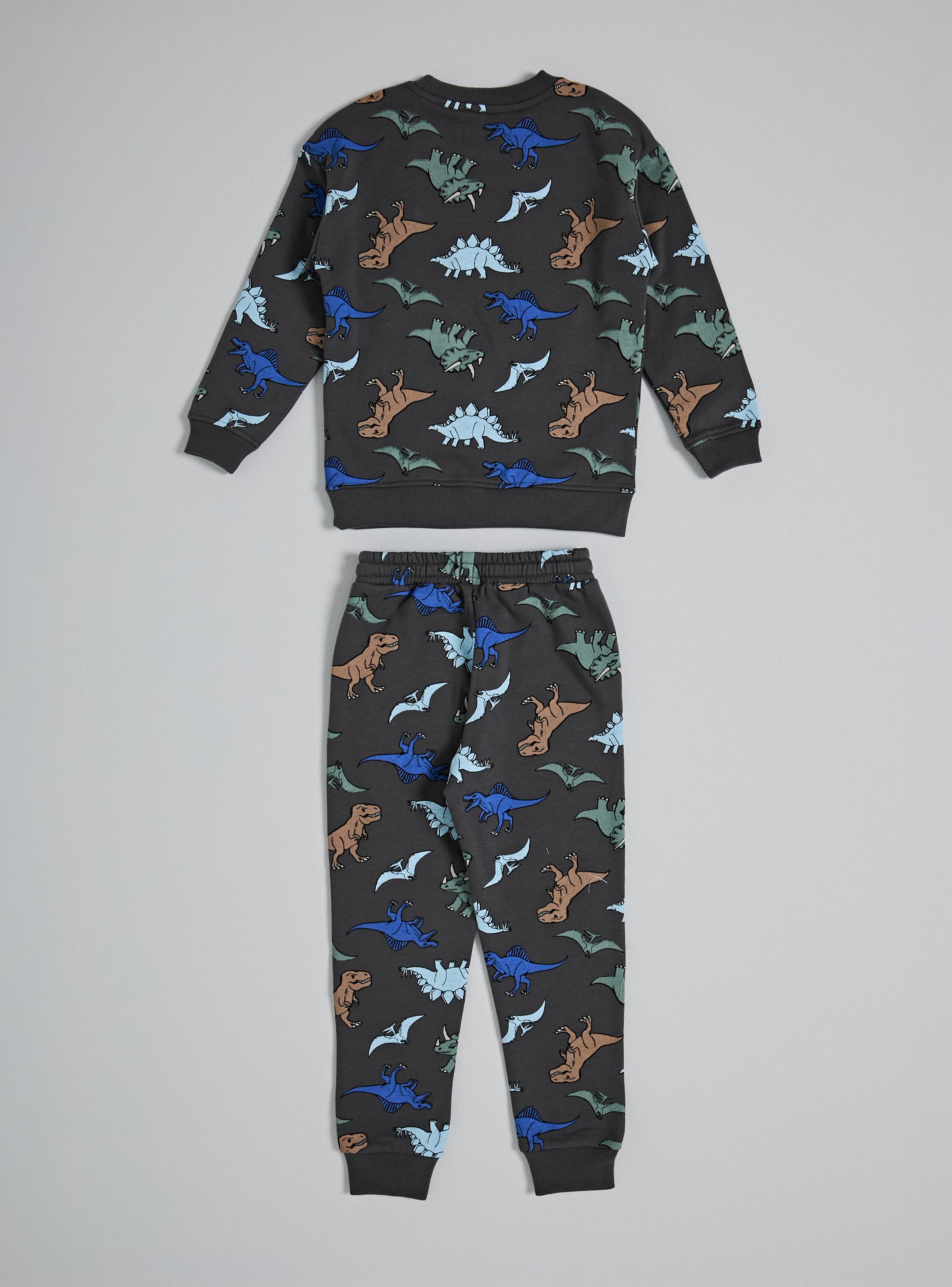 Buzo Conjunto Full Estampado Dinosaurios-2