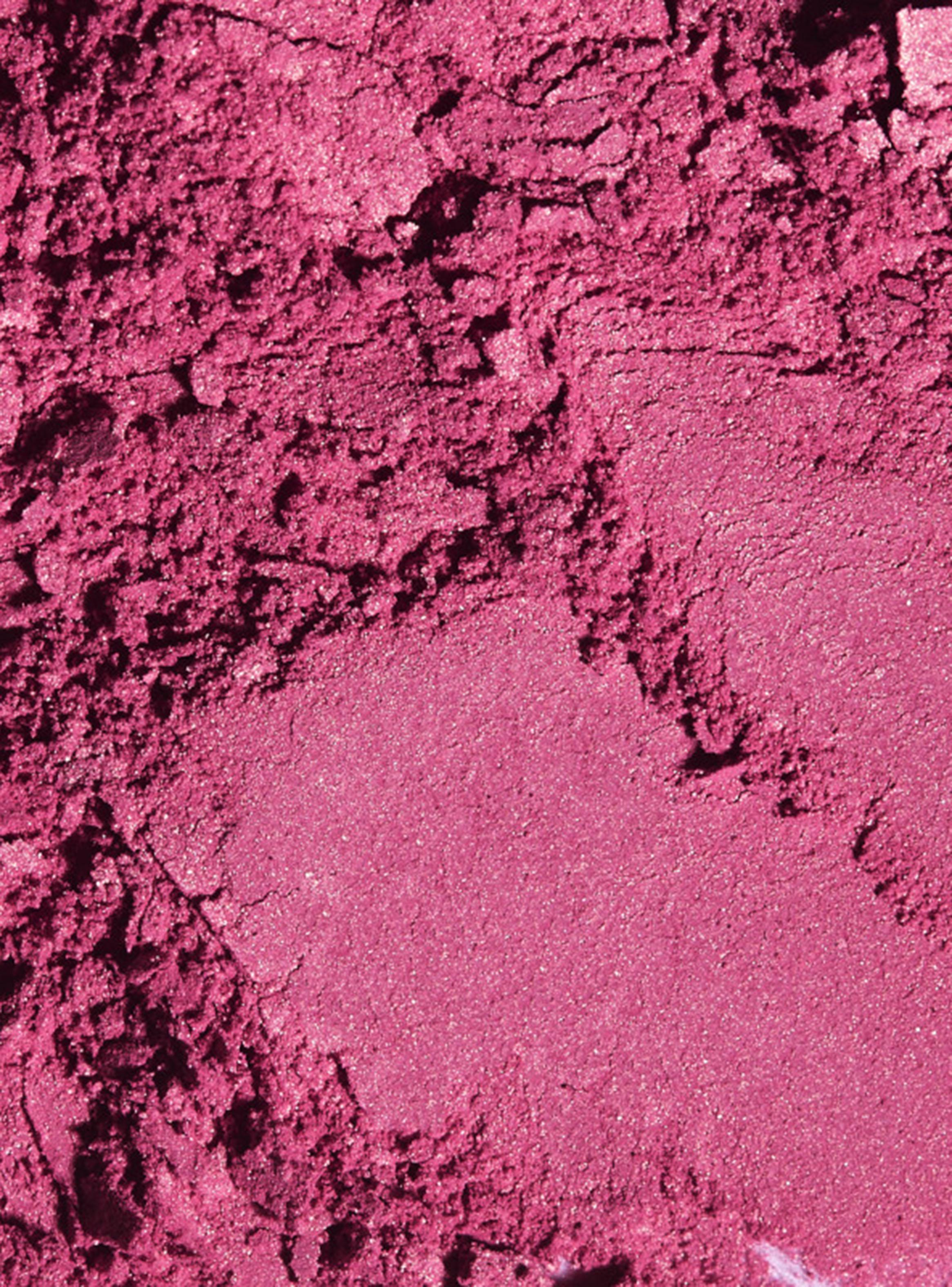 Rubor Nars Powder Blush Wild Bunch 4.8 g-3