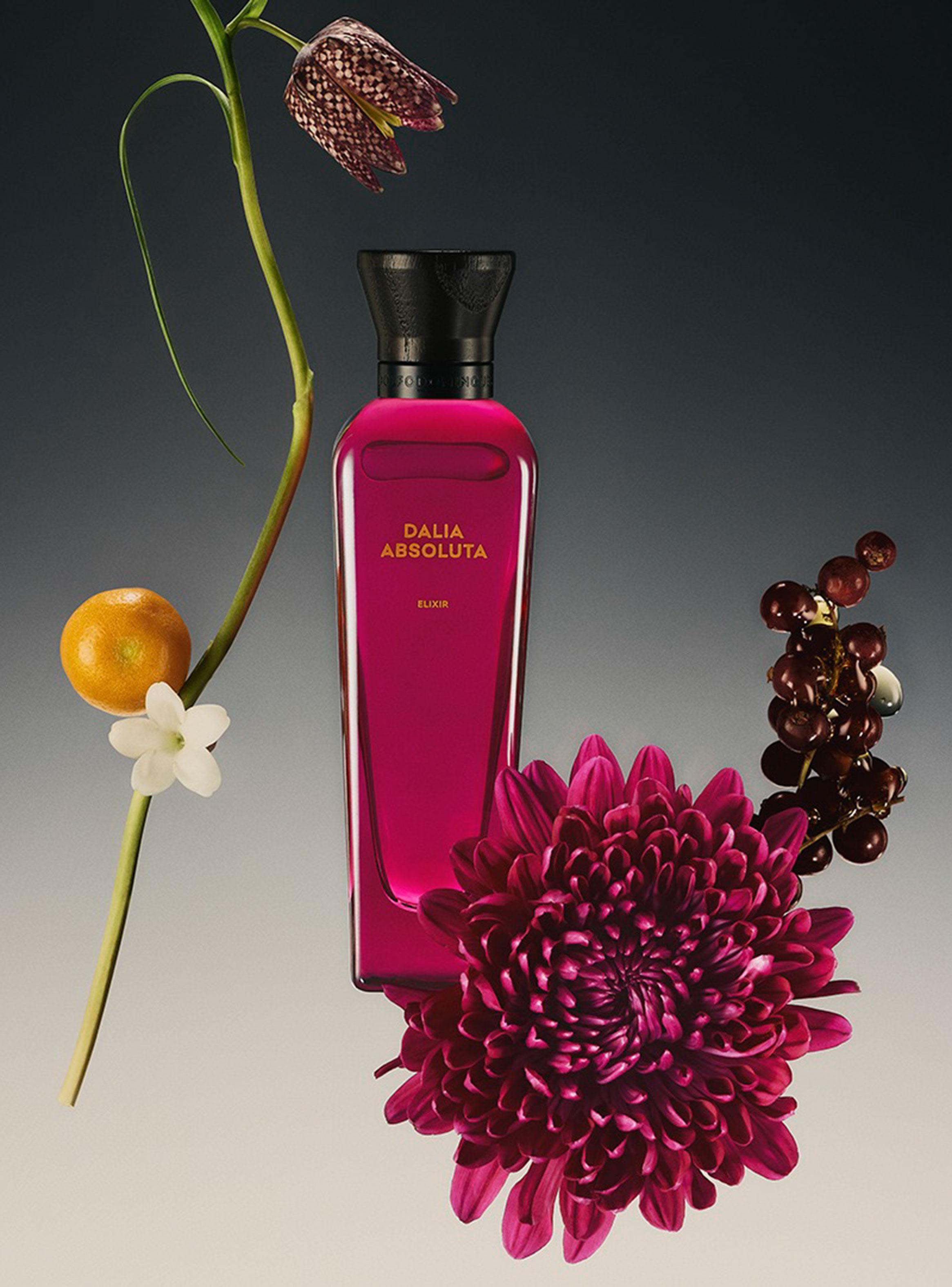 Set Perfume Dalia Absoluta Elixir Parfum Mujer 120 ml + 10 ml + Loción Corporal 75 ml-3