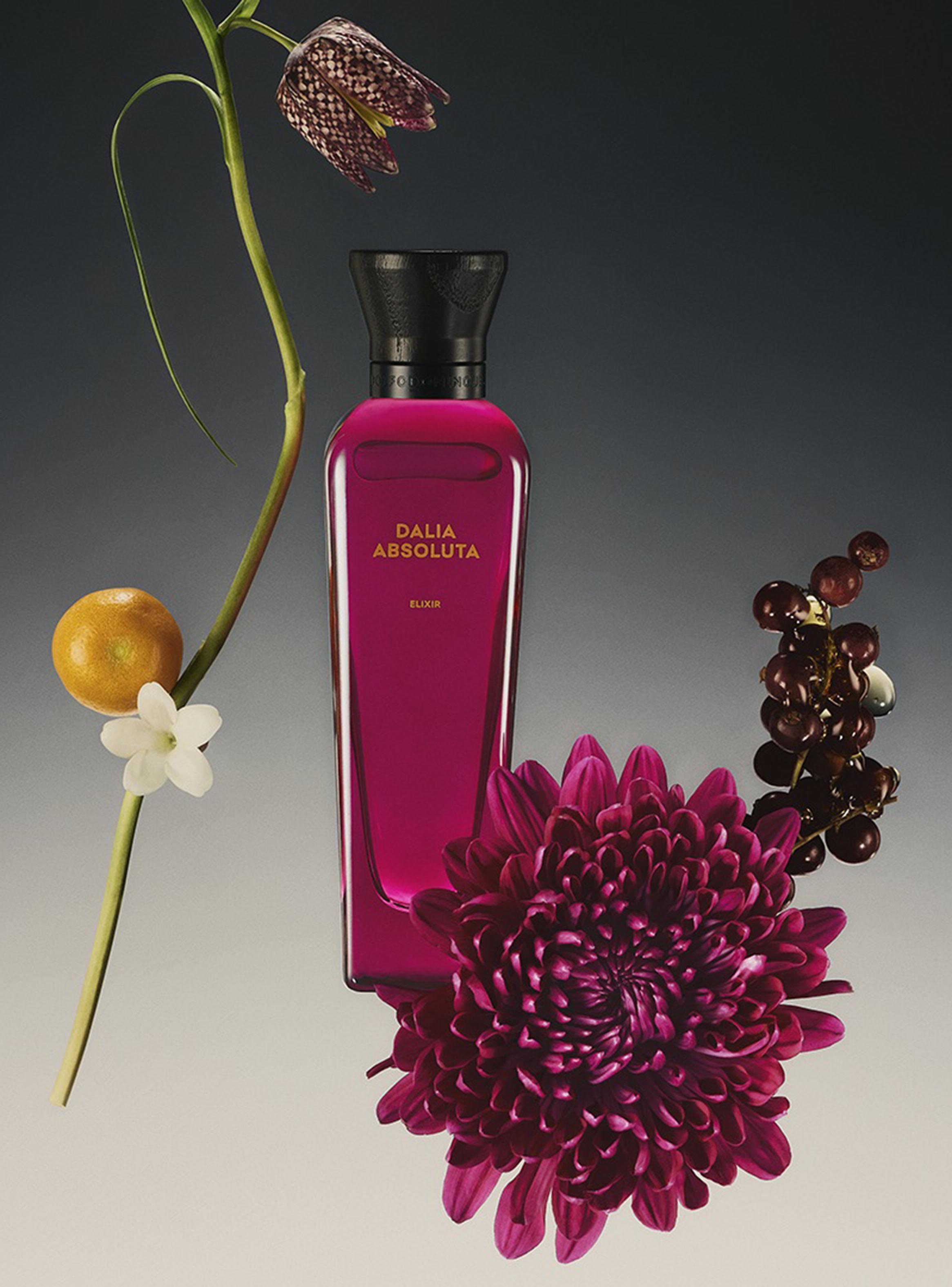 Set Perfume Dalia Absoluta Elixir Parfum Mujer 100 ml + 10 ml + Loción Corporal 75 ml-3