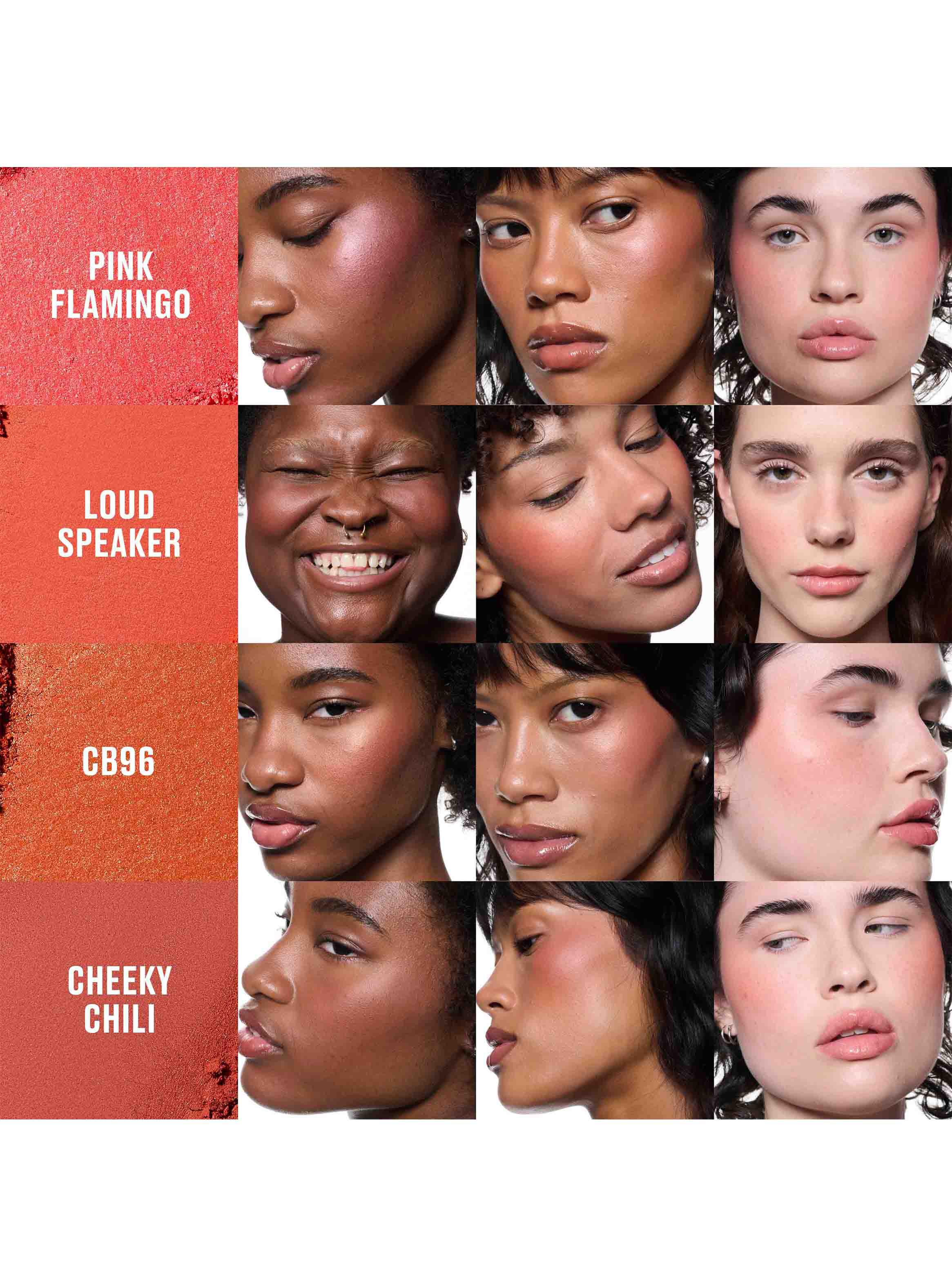 Rubor en Polvo Skinfinish Colorstruck Blush Cheeky Chili-4