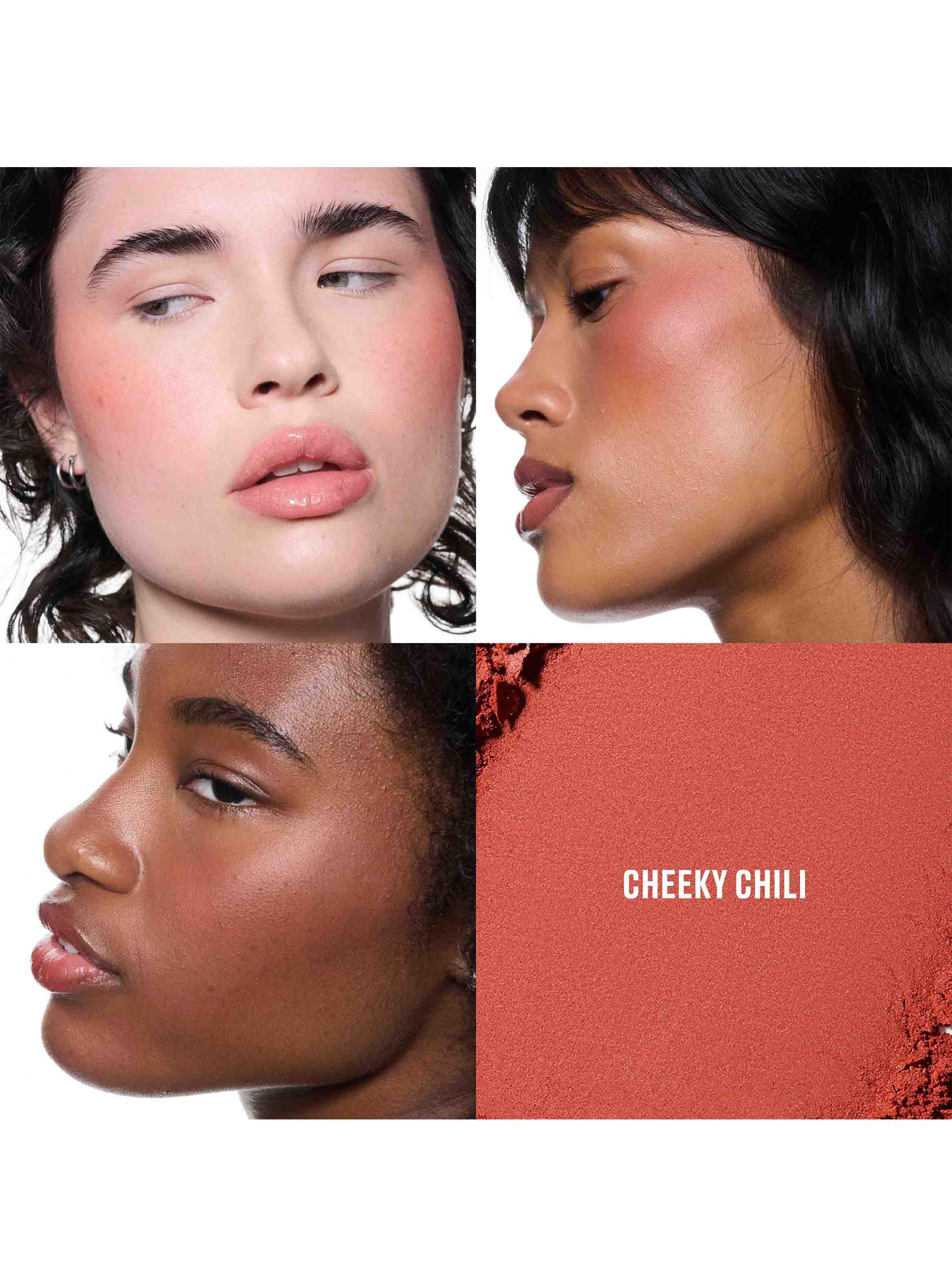 Rubor en Polvo Skinfinish Colorstruck Blush Cheeky Chili-2
