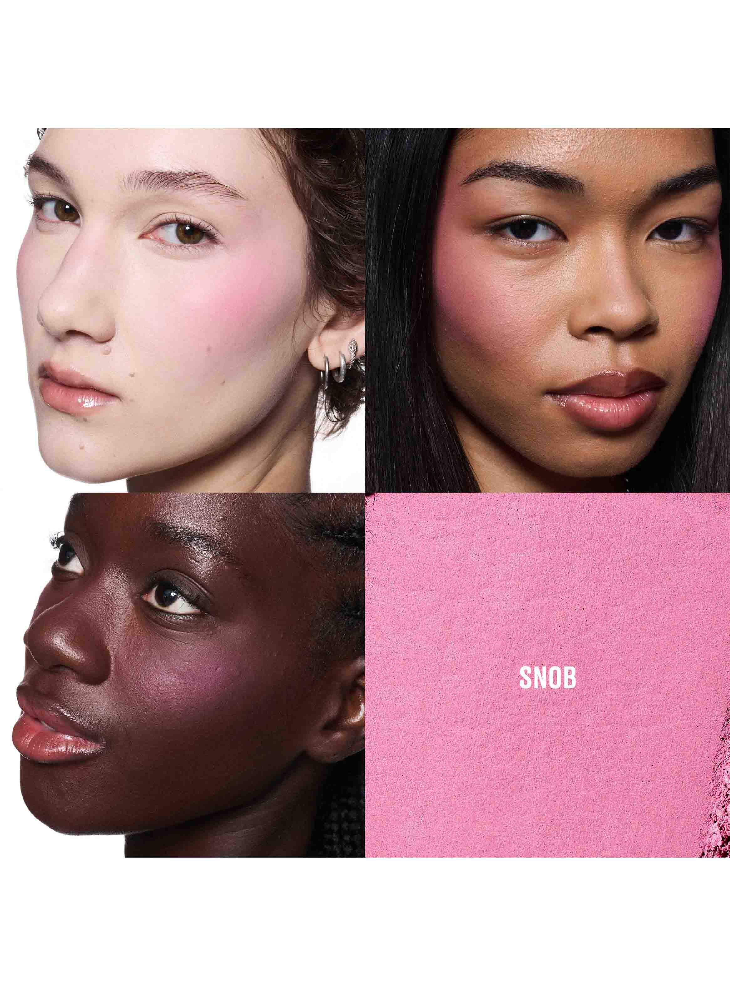 Rubor en Polvo Skinfinish Colorstruck Blush Snob-2
