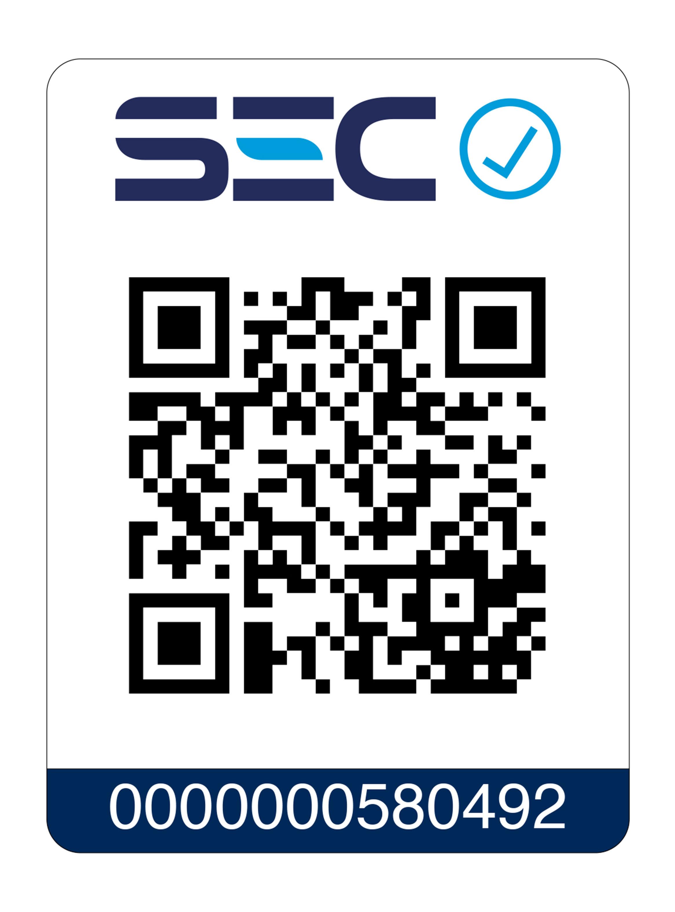 Campana Tradicional DM8SS Inox 80 cm-6