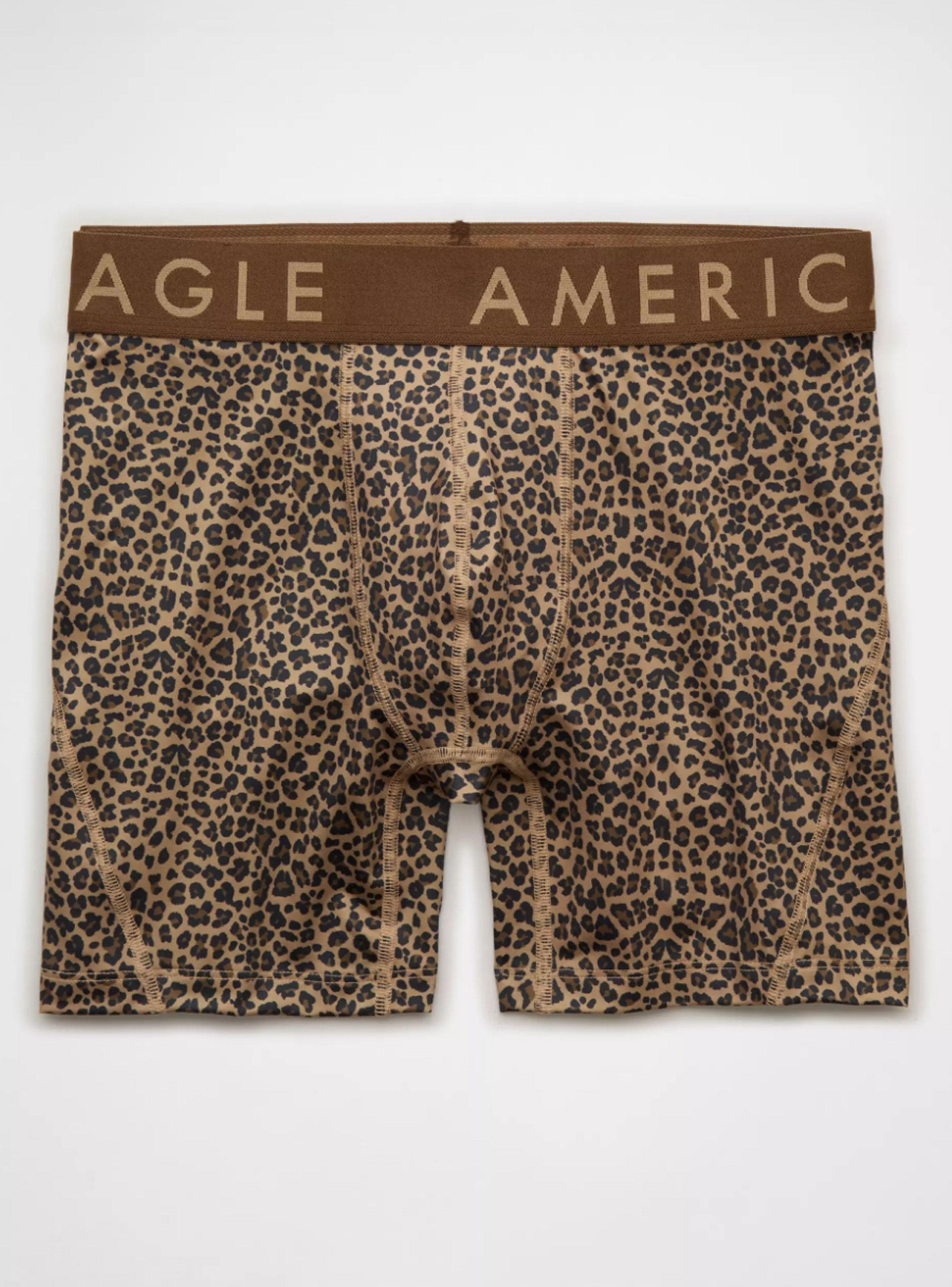 Bóxer AE Leopardo-2