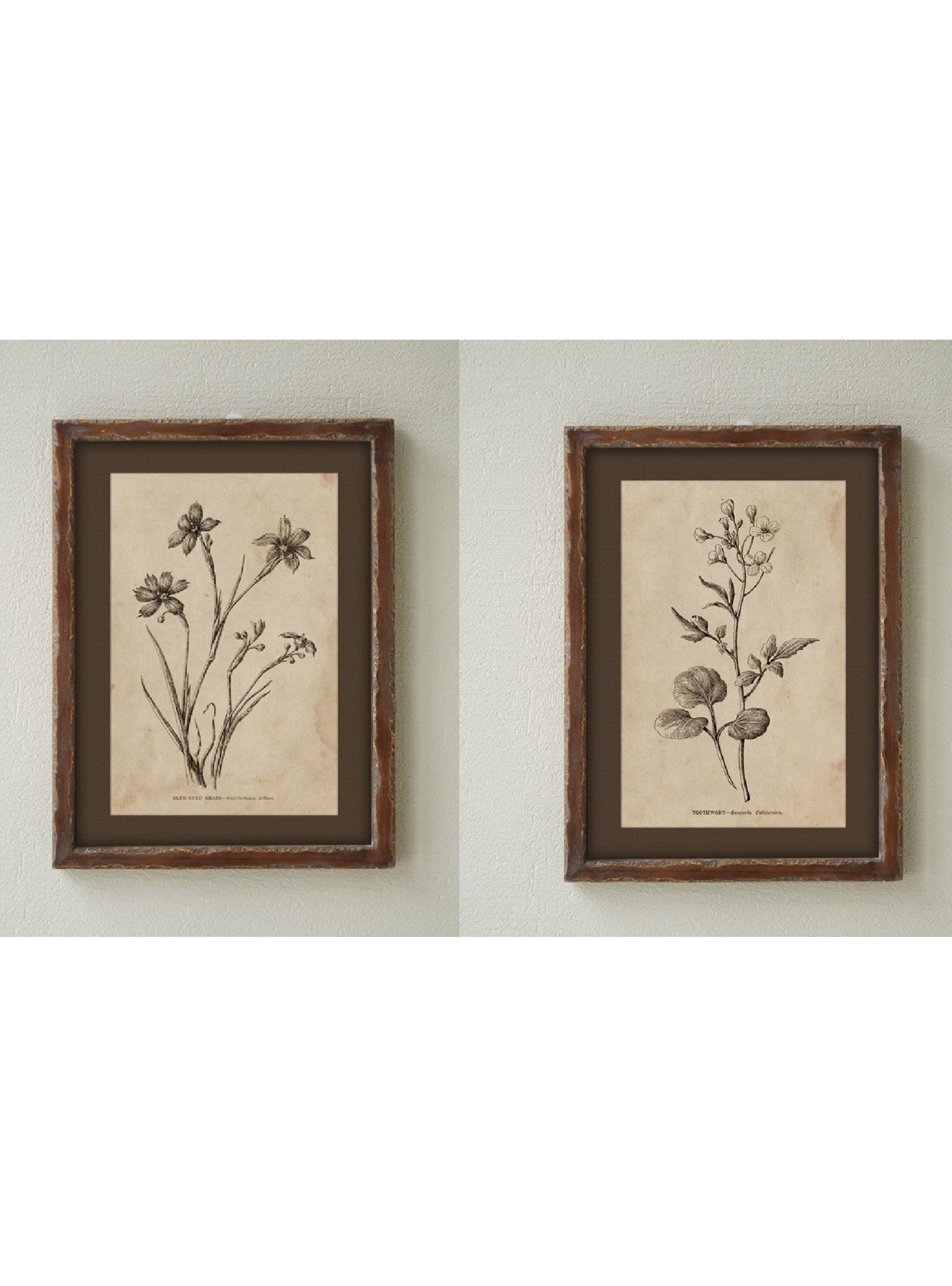 Set de Cuadros Flor Silvestre 1-0