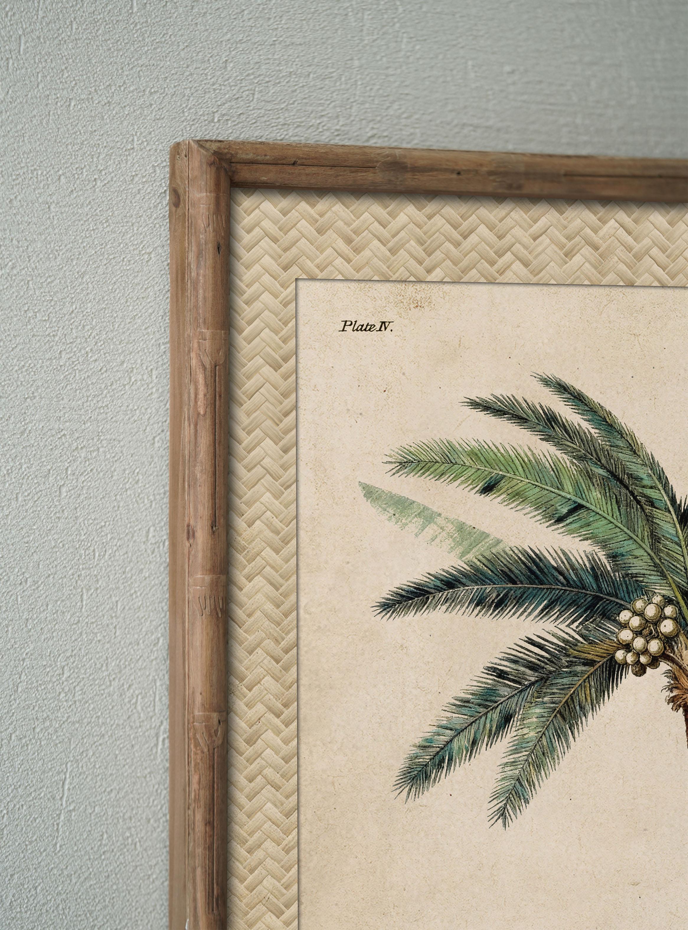 Cuadro Palmera 2-2