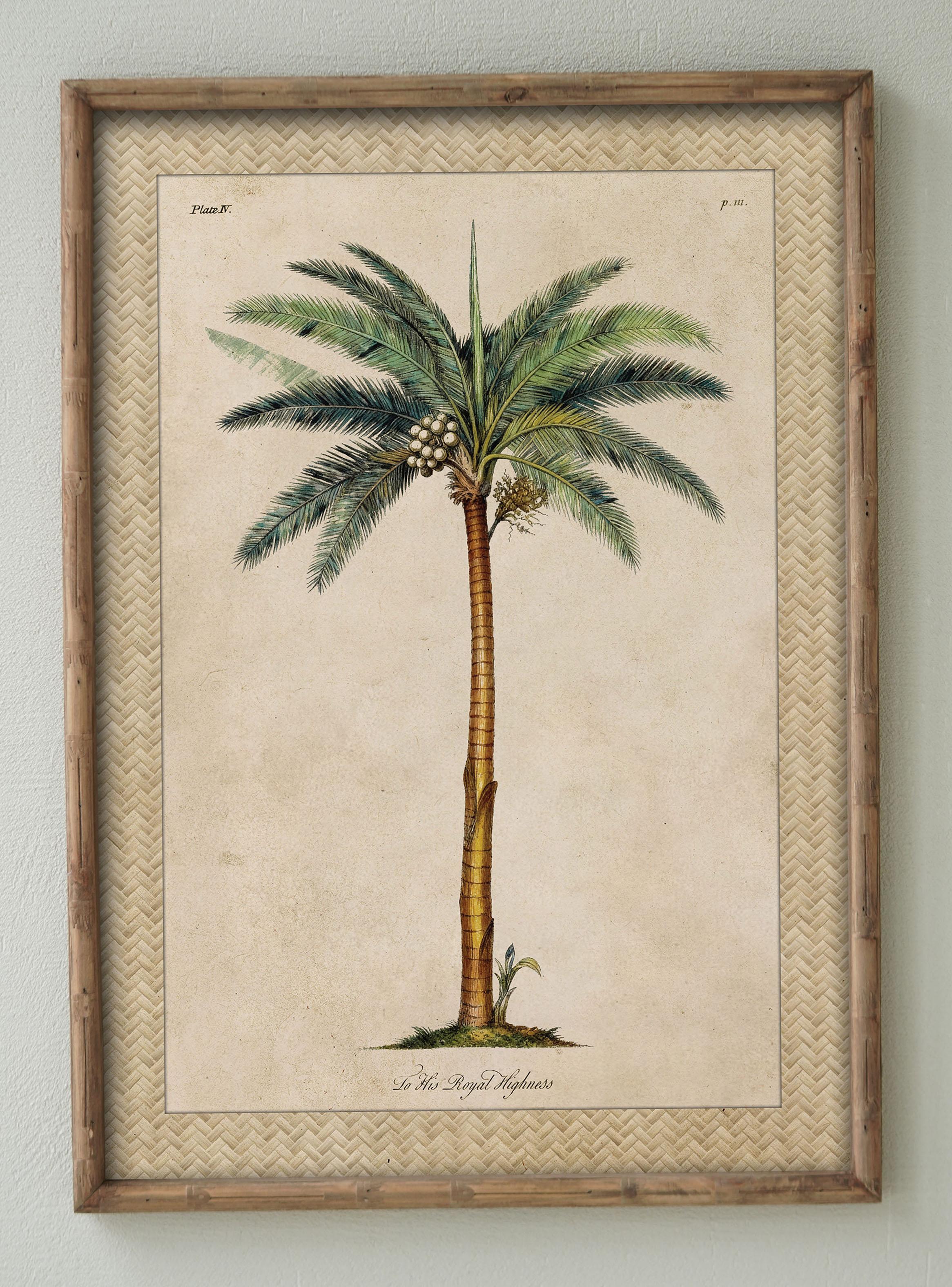 Cuadro Palmera 2-0