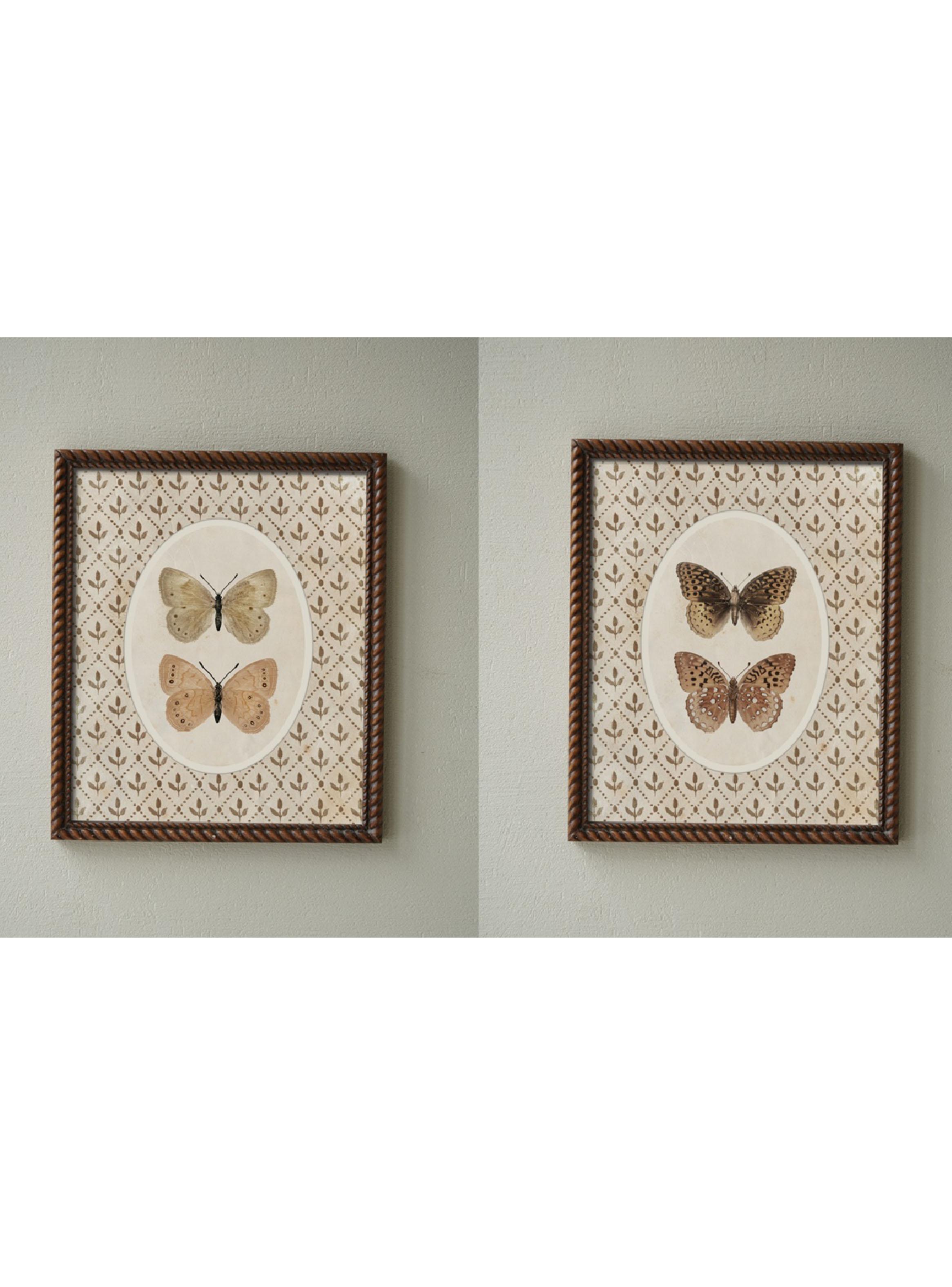 Set de Cuadros Duo Mariposa-0