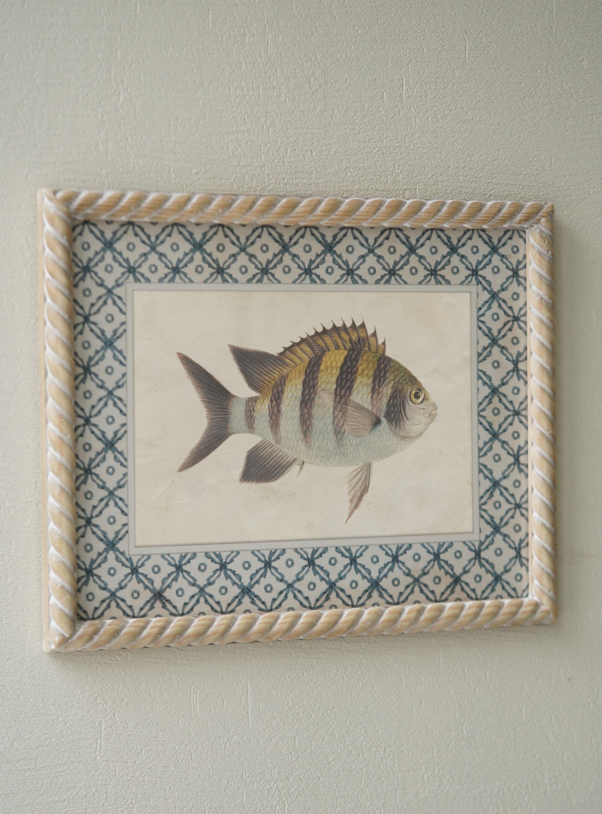 Set de Cuadros Peces-1