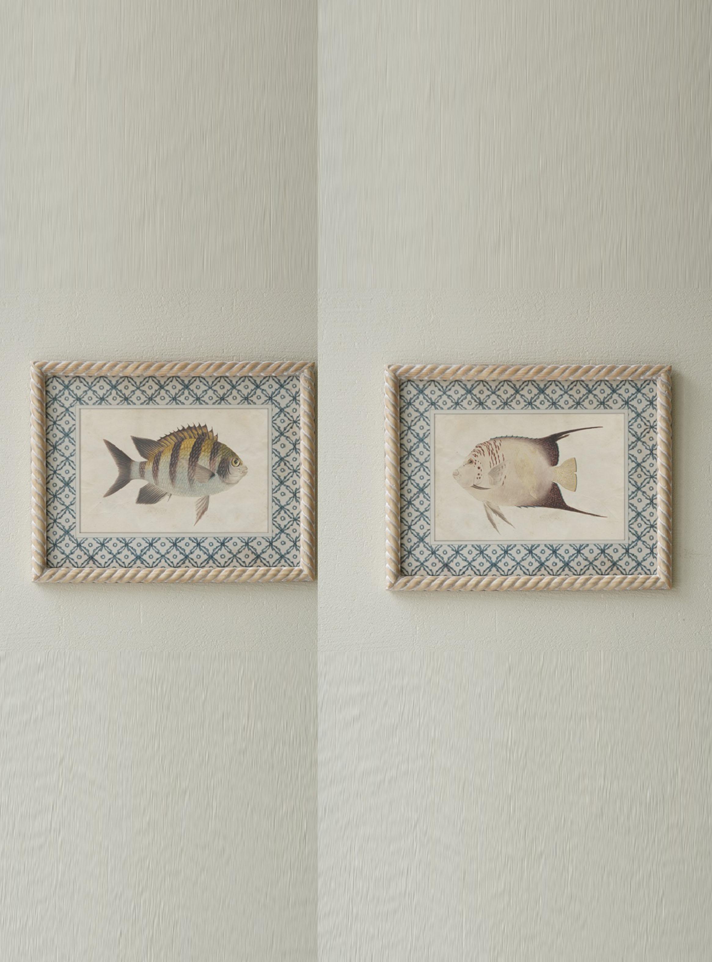 Set de Cuadros Peces-0