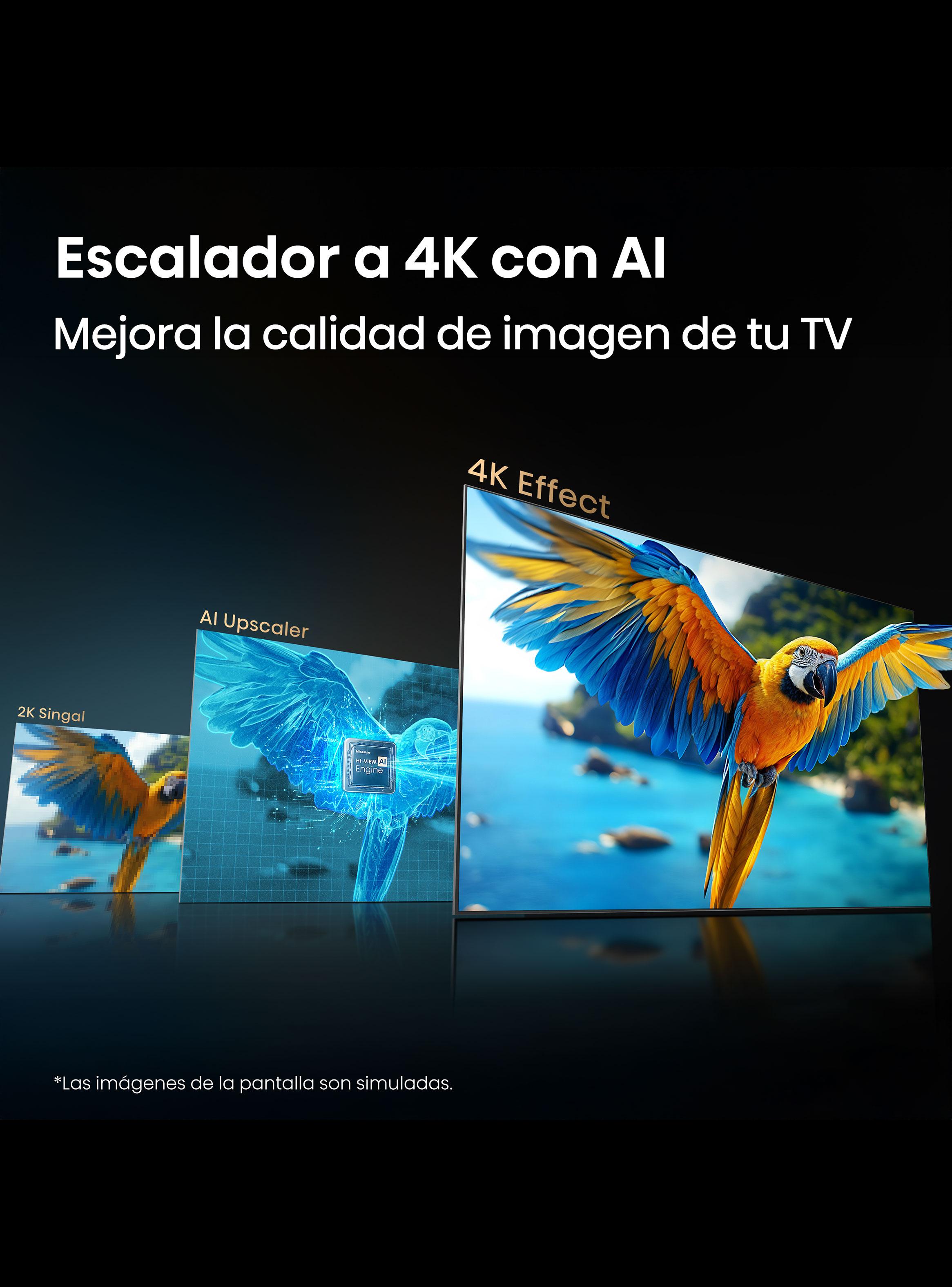 QLED Smart TV 43'' 4K UHD 43QD5SV-7