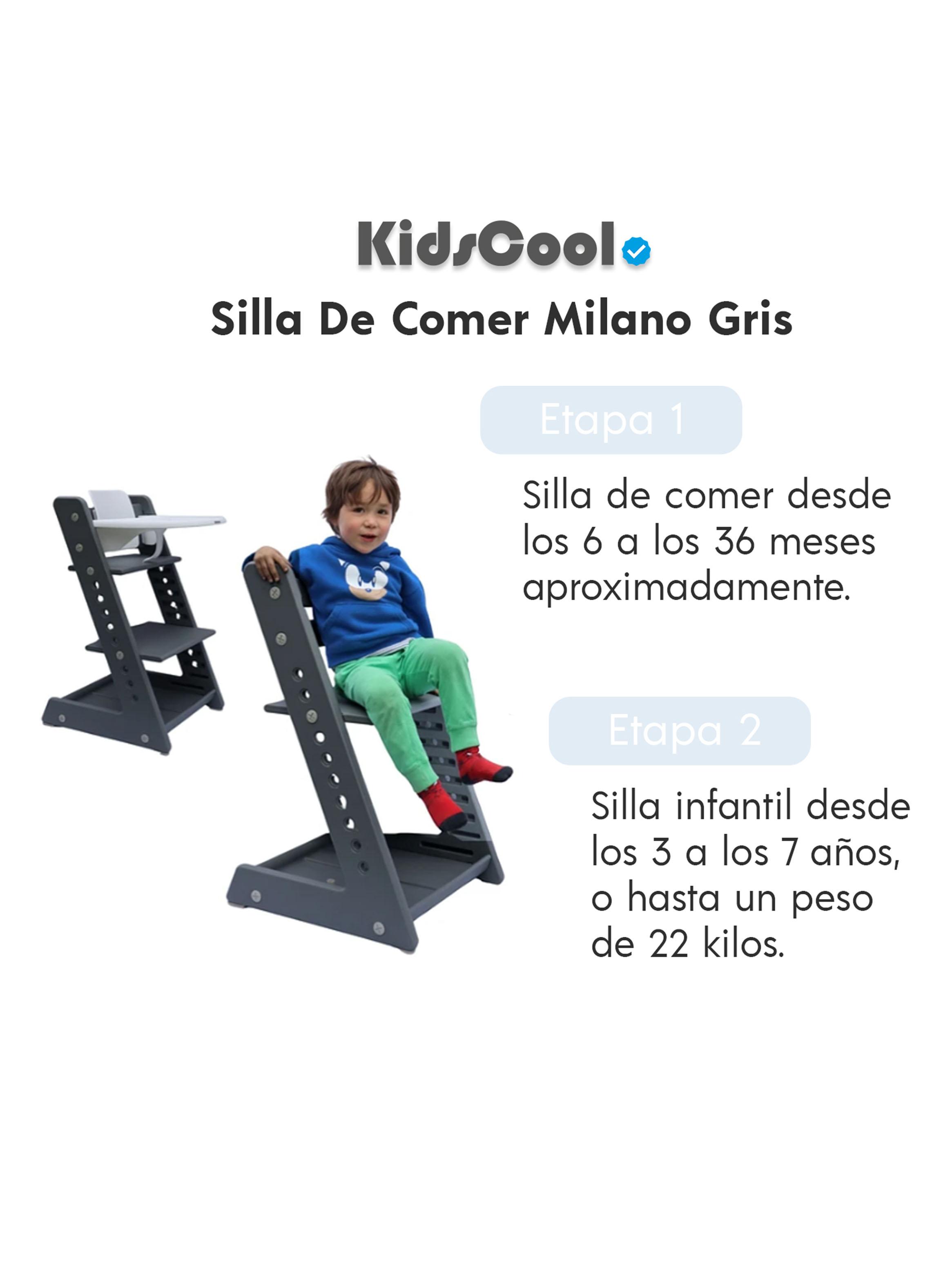 Silla de Comer Milano Gris-3