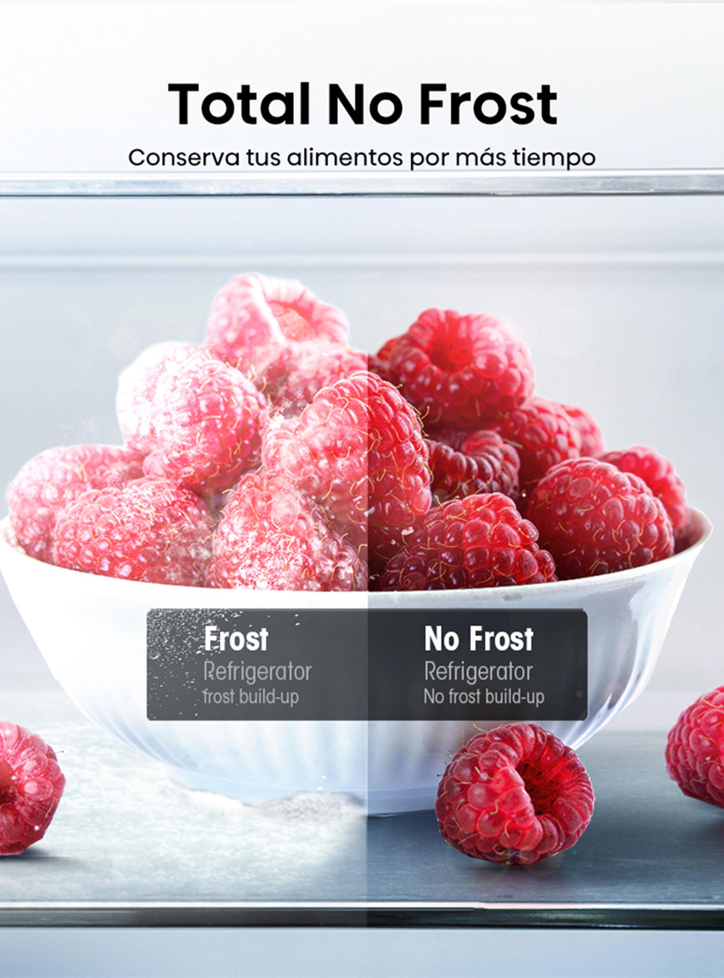 Refrigerador Top Mount No Fost 246 Litros RT320NV-6