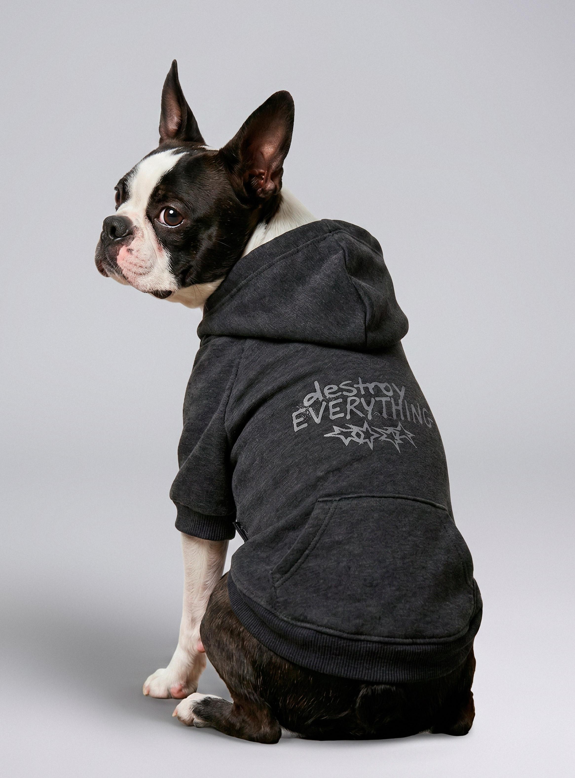 Ropa para Perro Polerón Lavado Estampado Pets Collection-1
