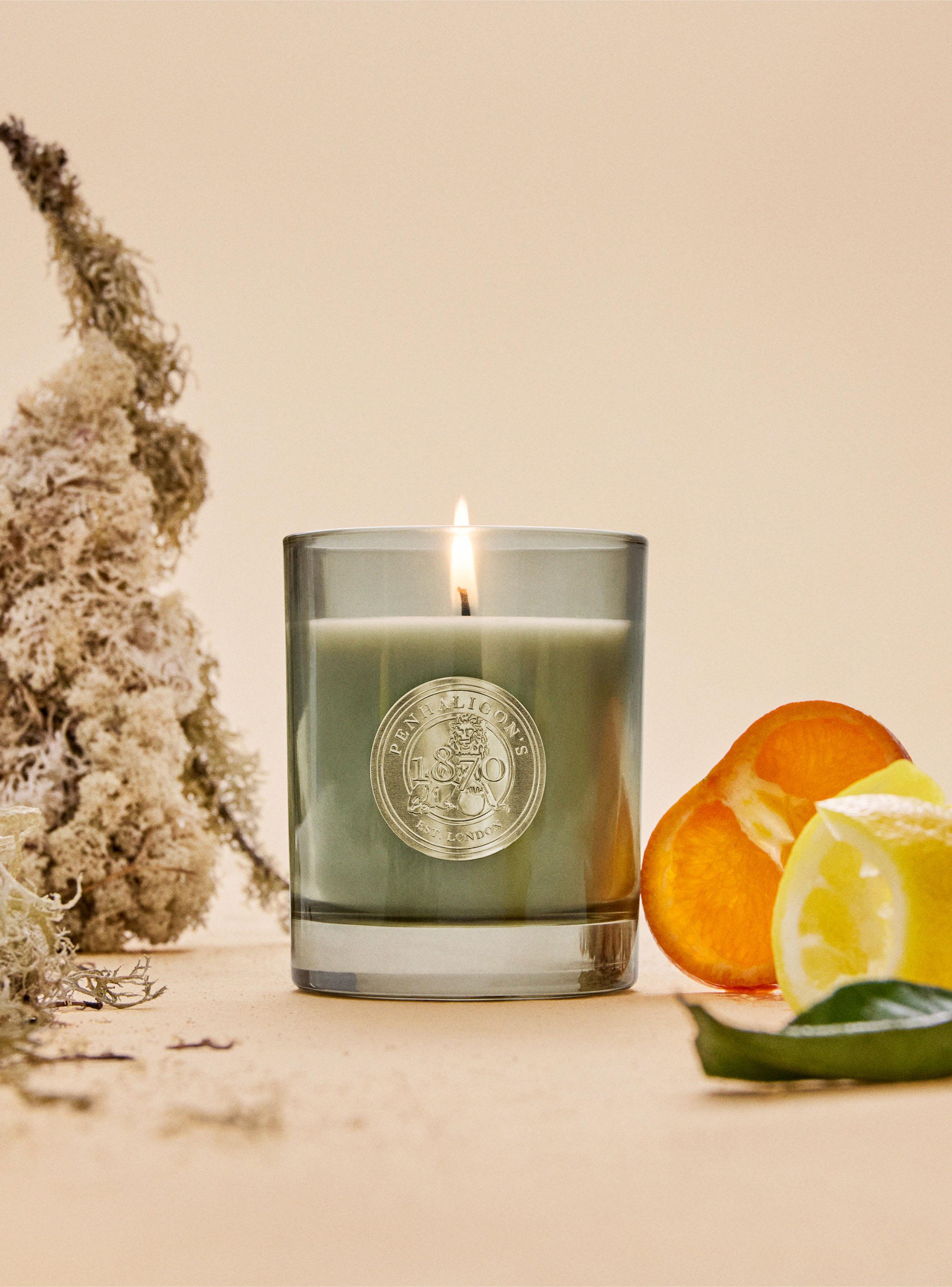 Quercus Scented Candle 200 g-2