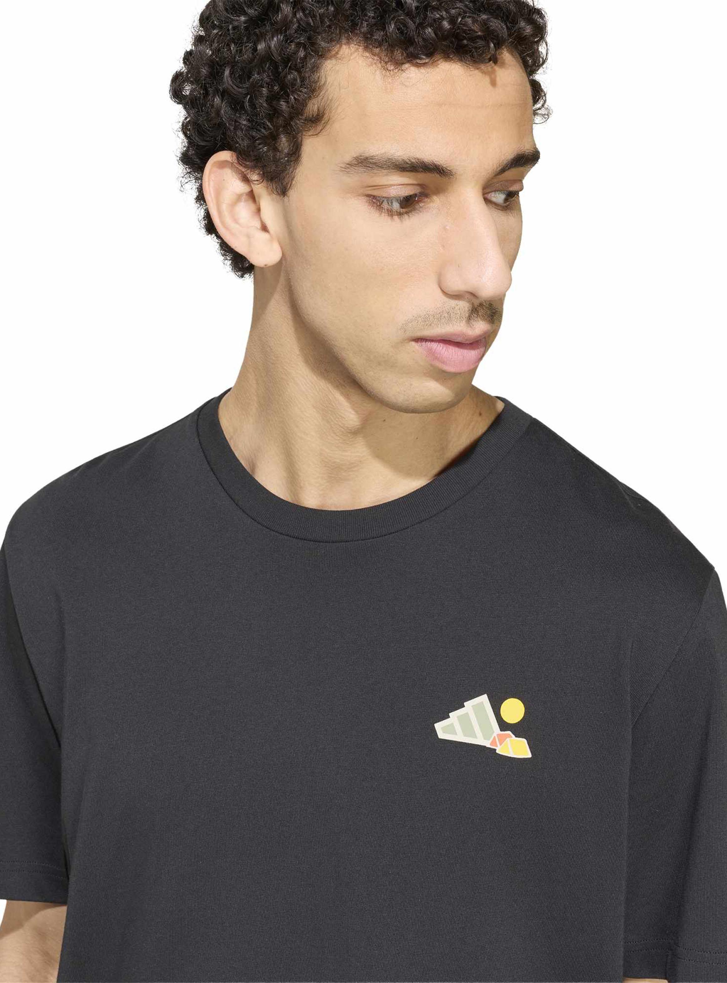 Polera Terrex Camper Graphic-2