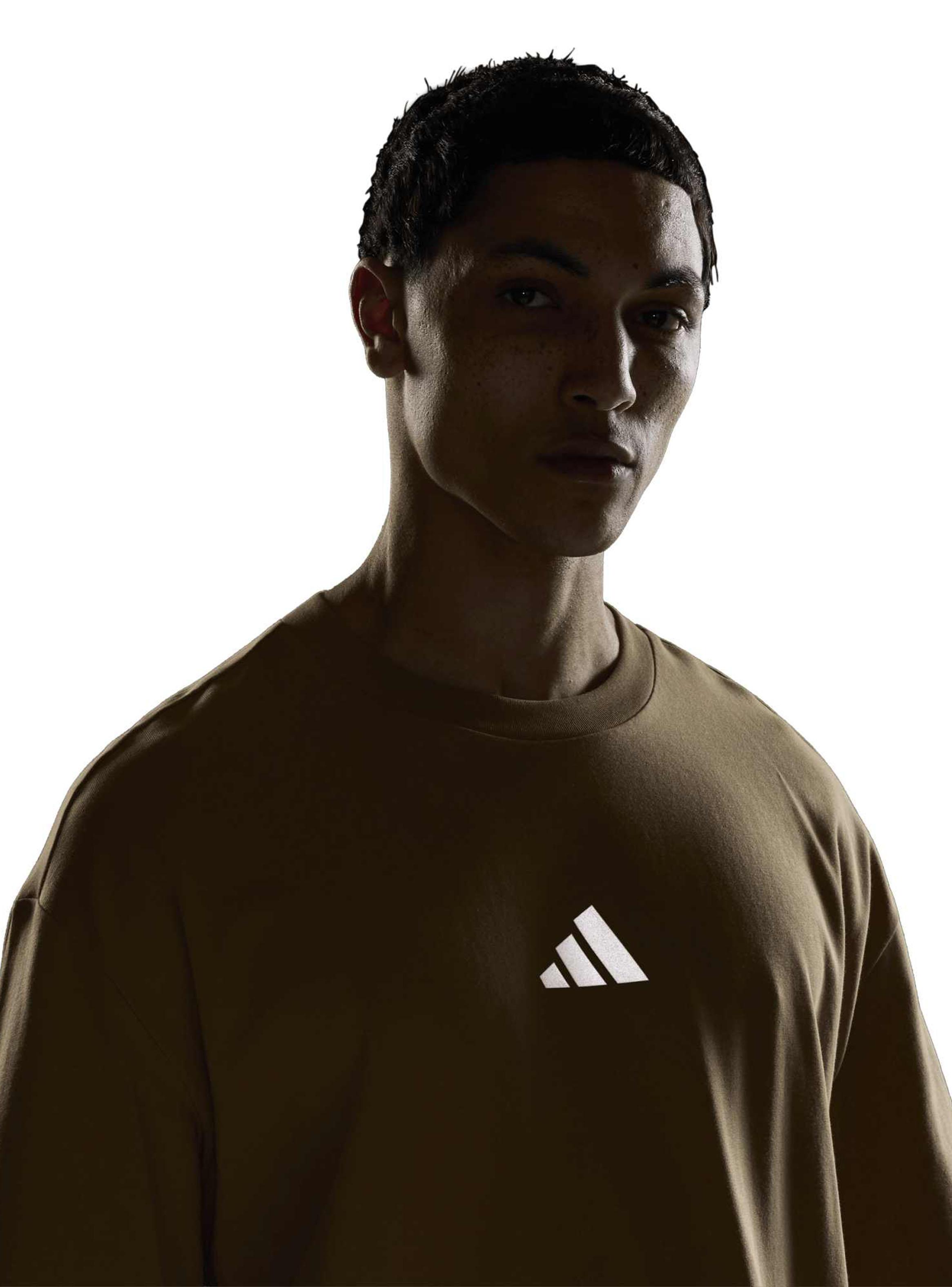 Polera Graphic Terrex Xploric-4