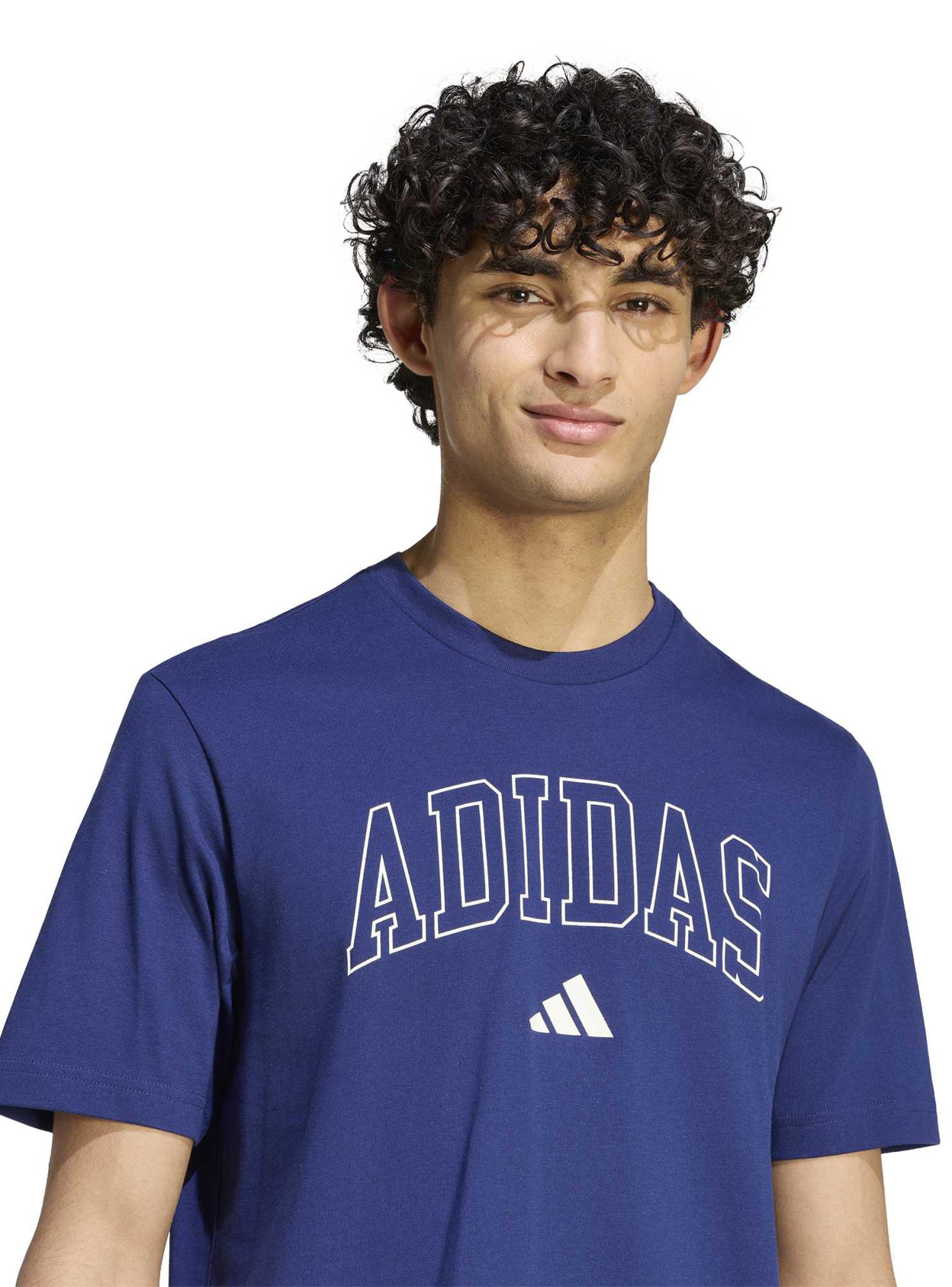 Polera Collegiate Lineage Graphic-2
