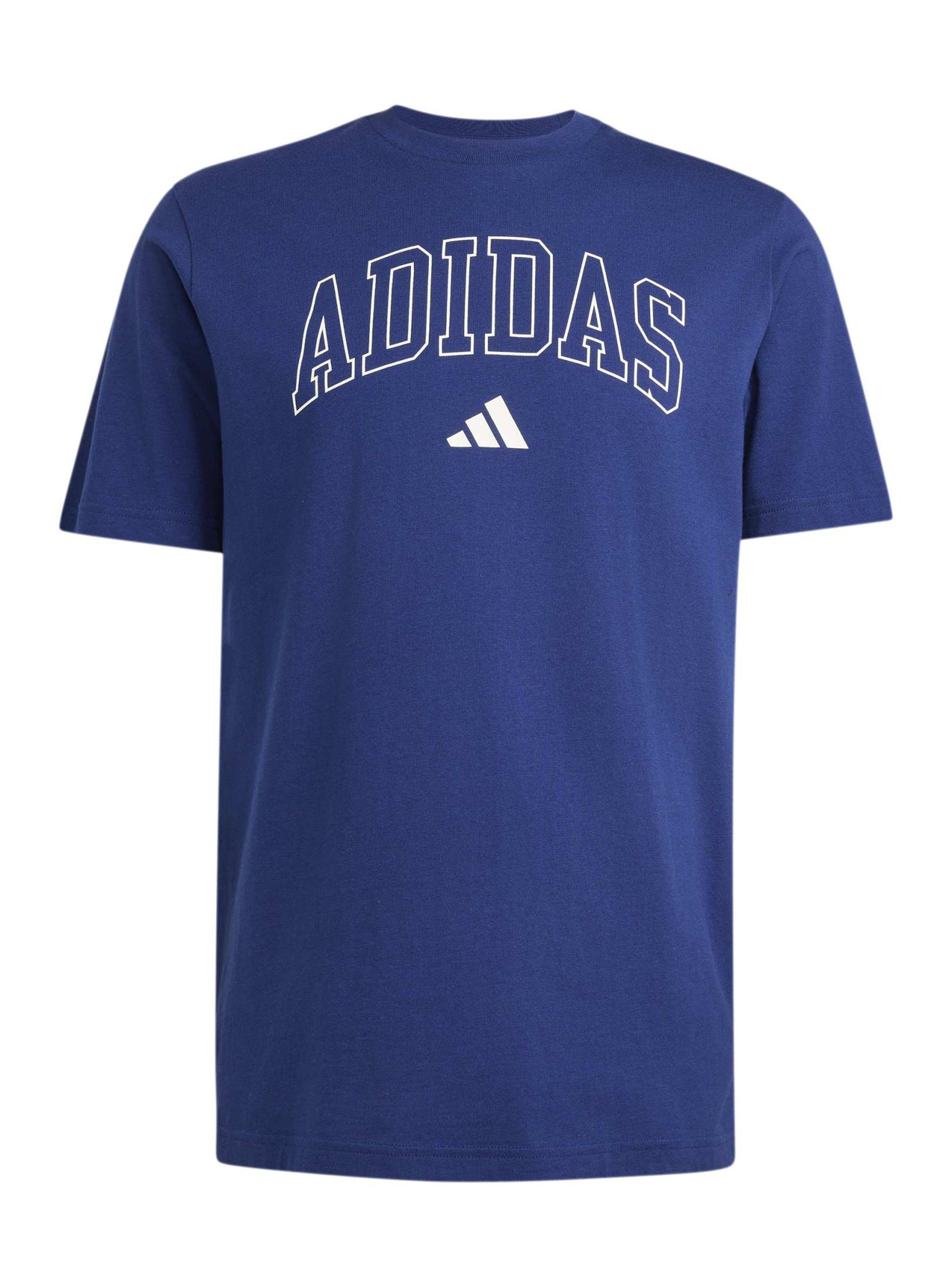 Polera Collegiate Lineage Graphic-5