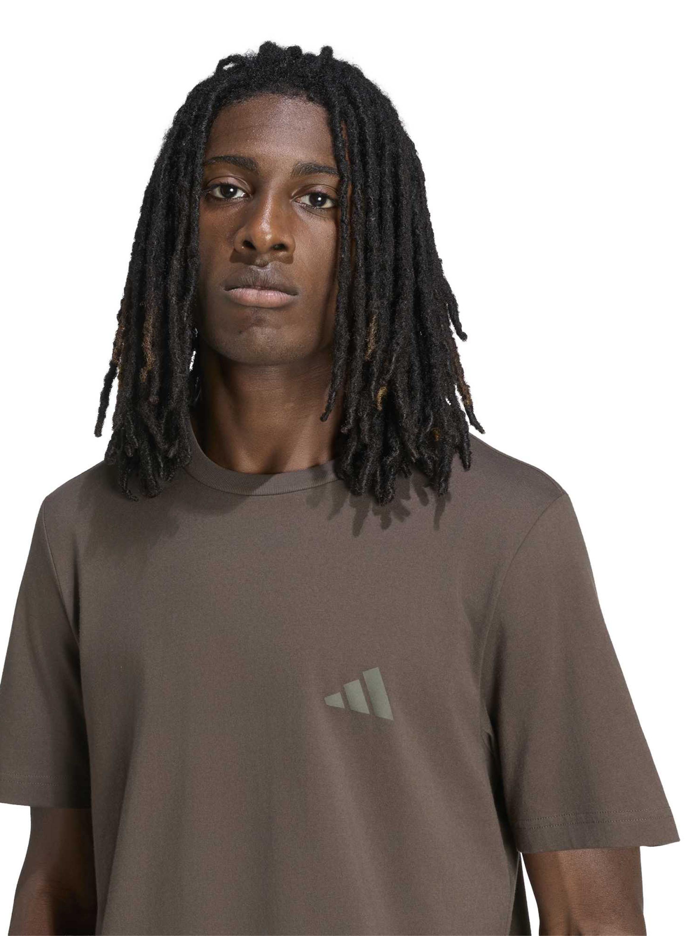 Polera Terrex Mountain Graphic-3