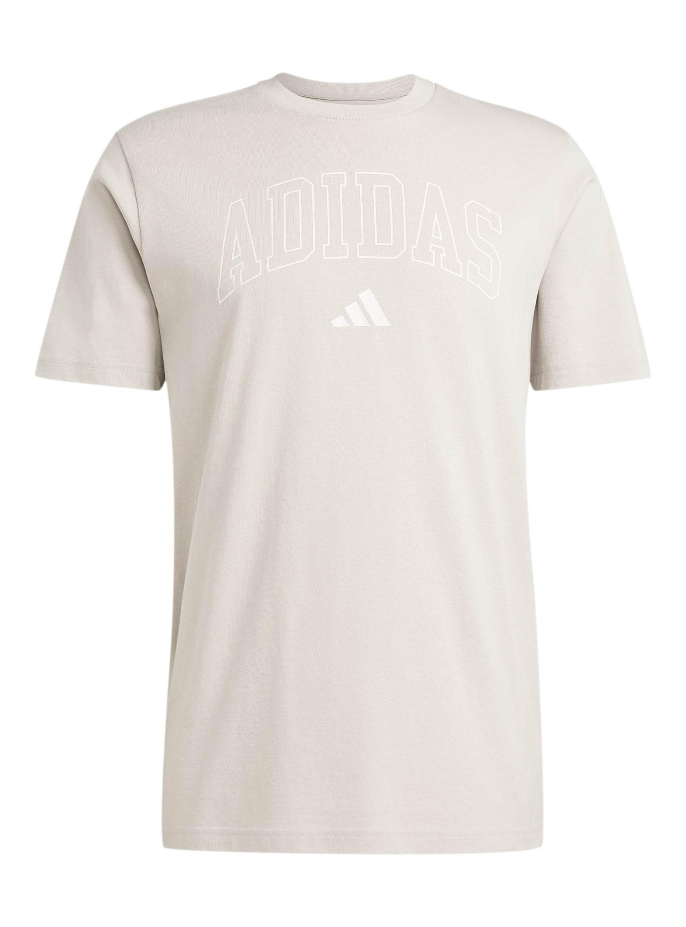 Polera Graphic Collegiate Lineage-2