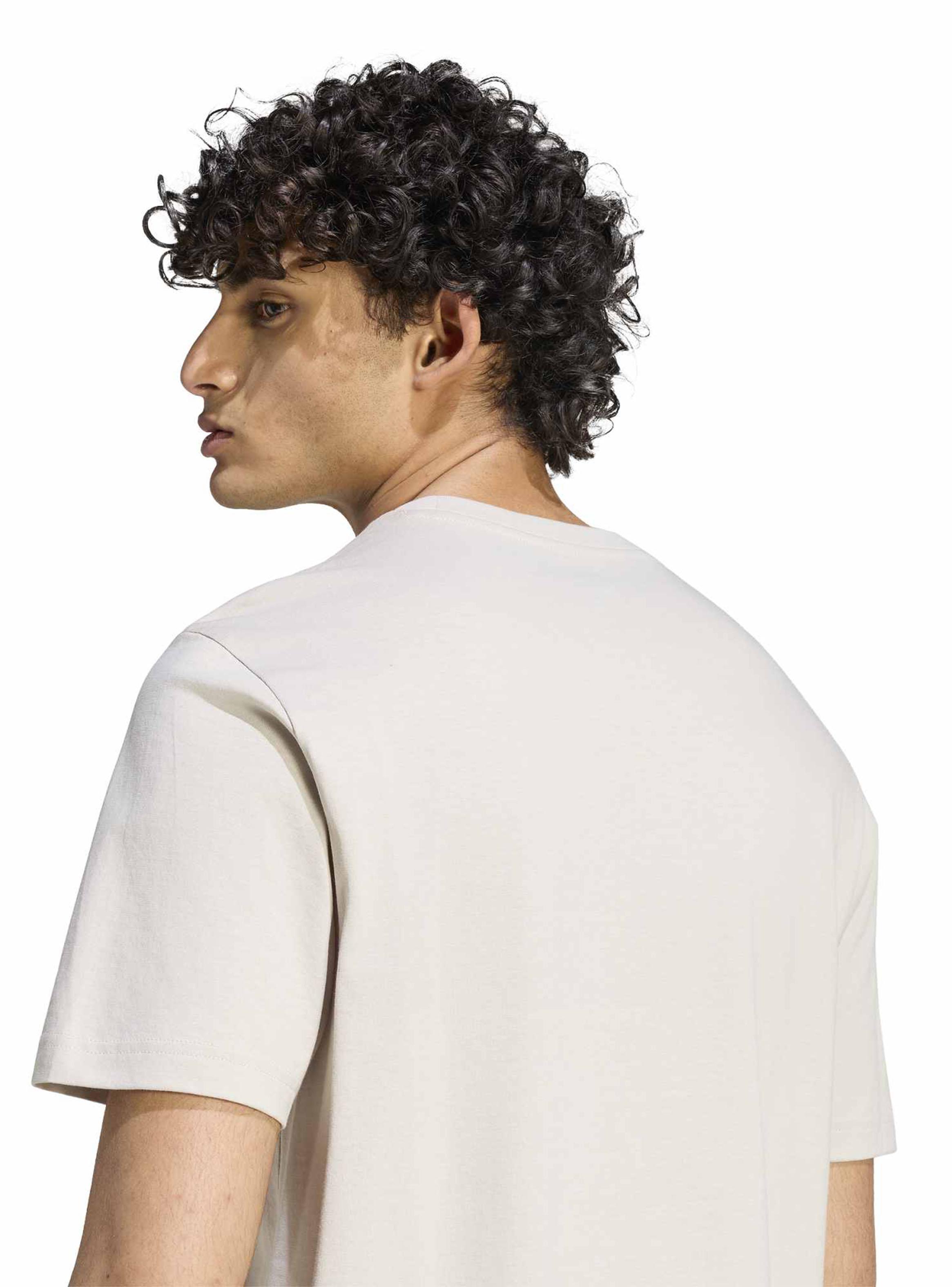 Polera Graphic Collegiate Lineage-3
