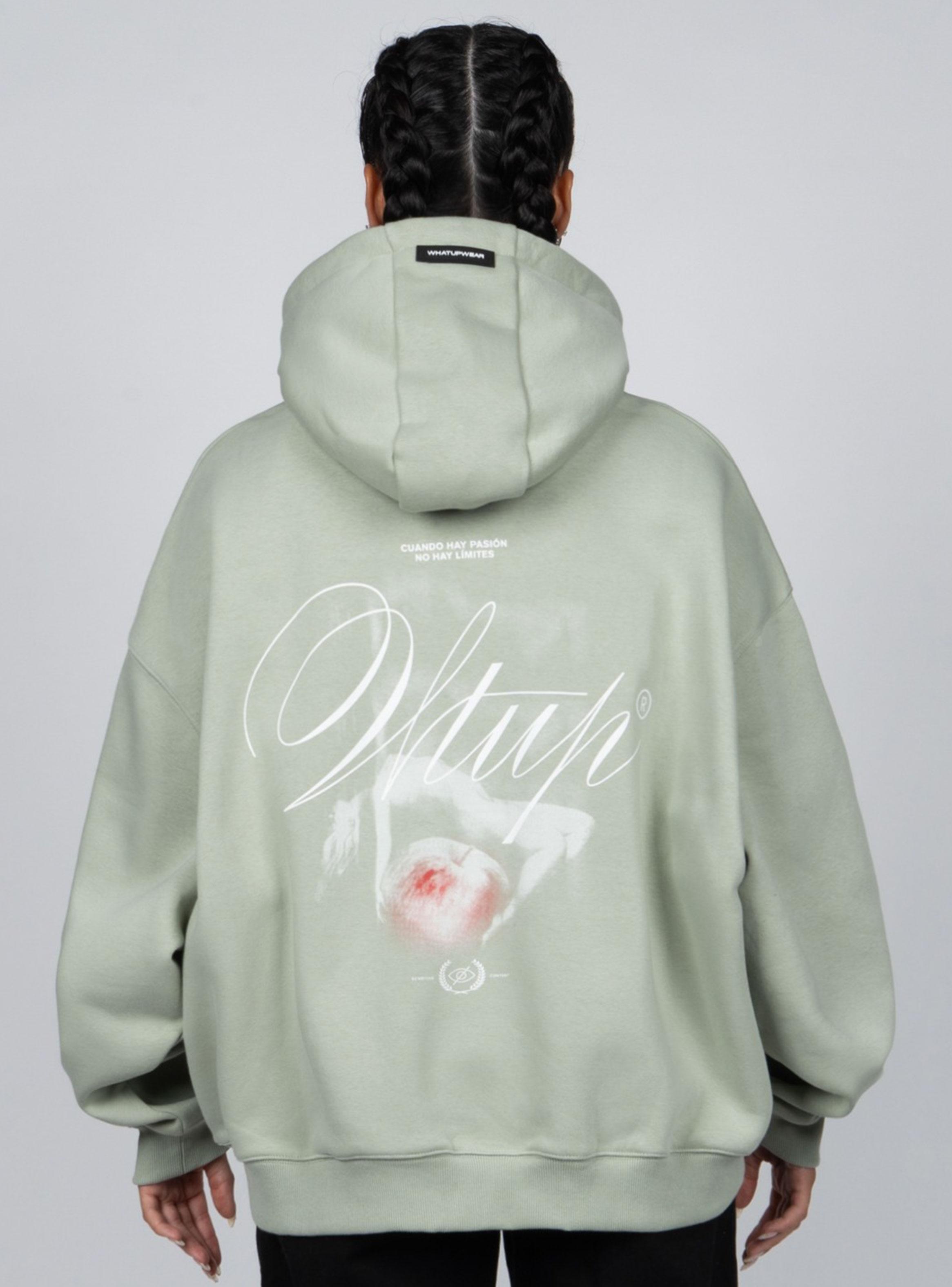 Polerón Hoodie Capucha Casual-1