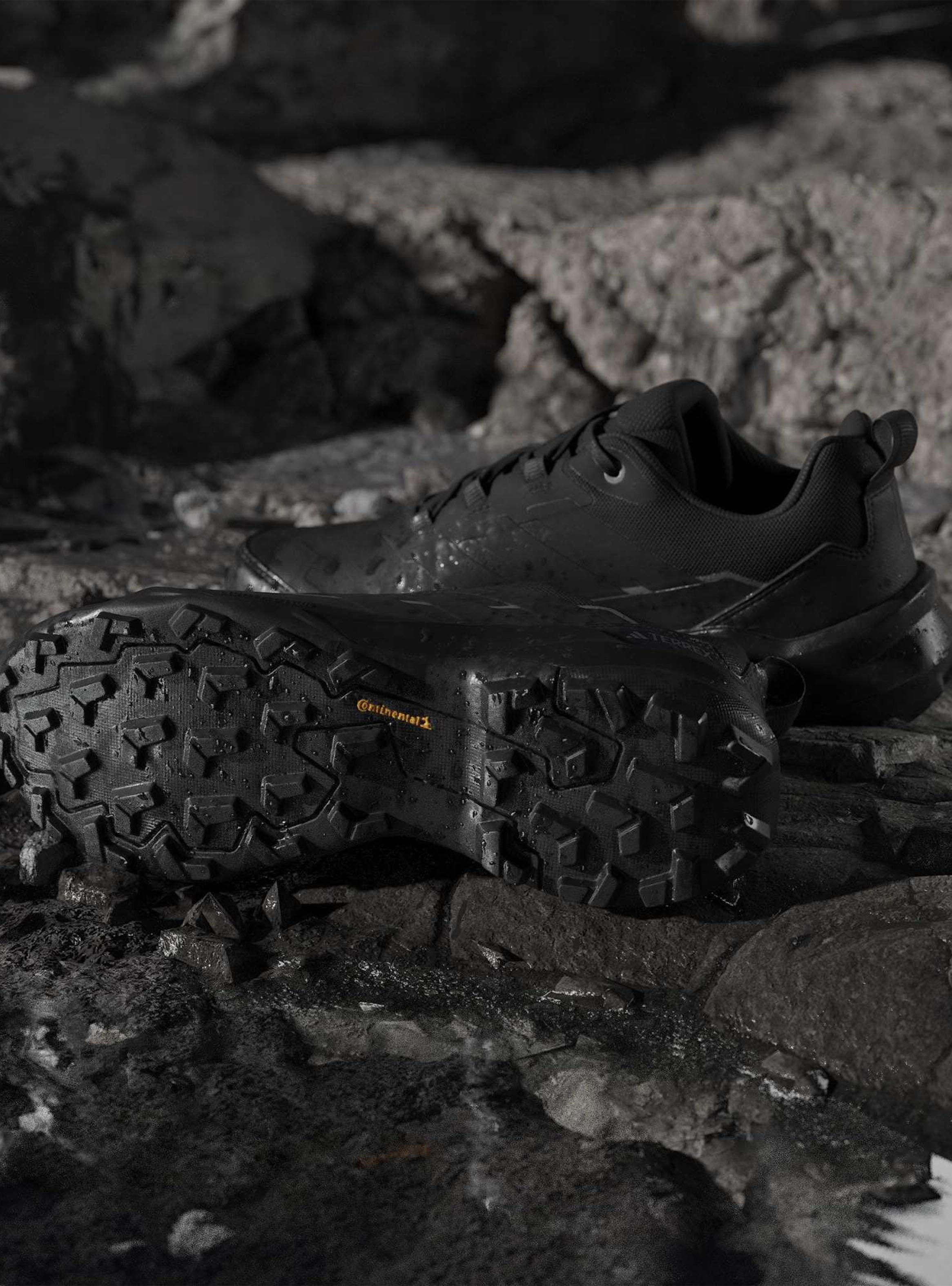 Zapatilla Outdoor Terrex Skychaser AX5 GTX Hombre-4
