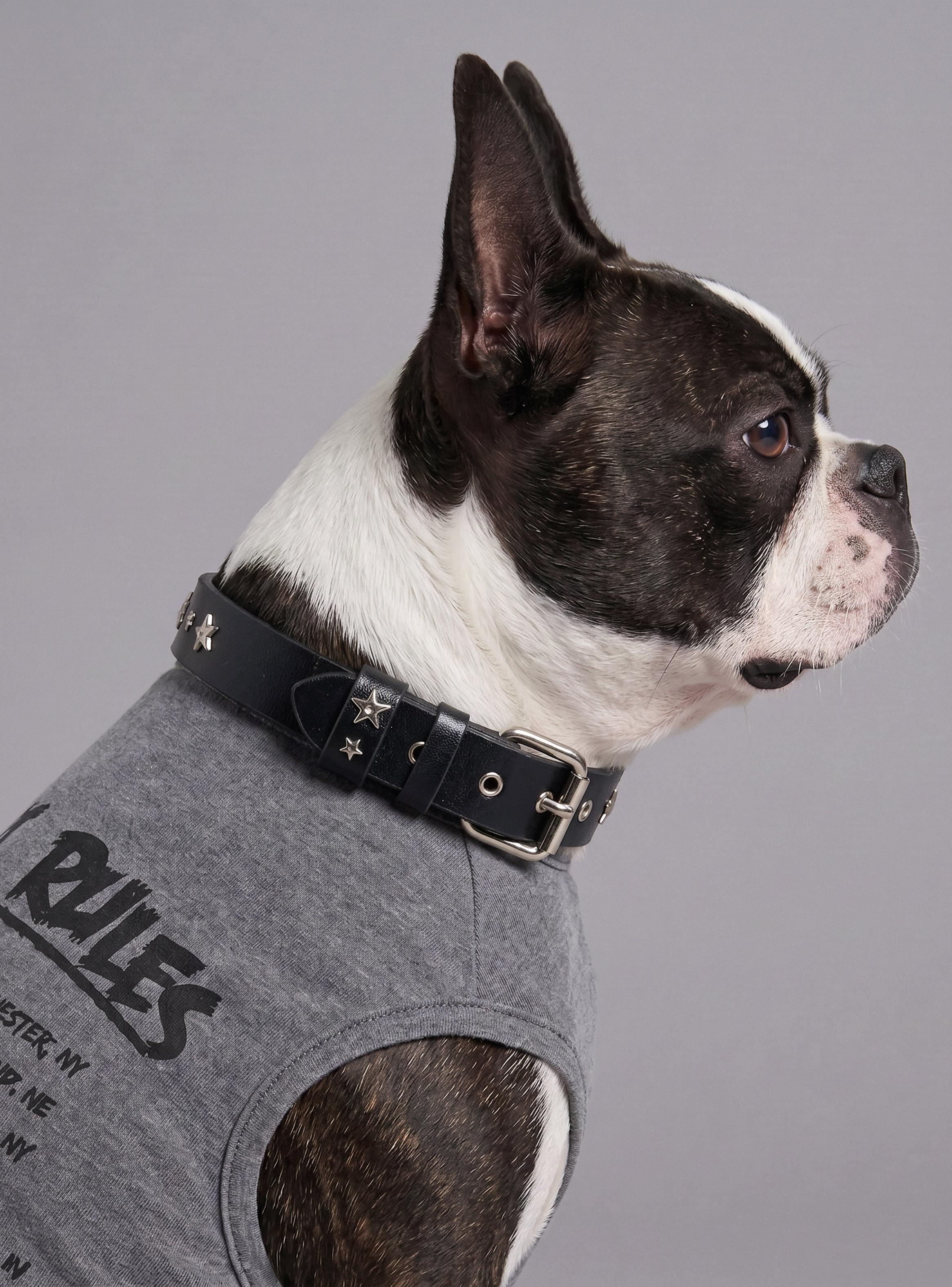 Collar para Perros con Tachas y Estrellas Pets Collection-0