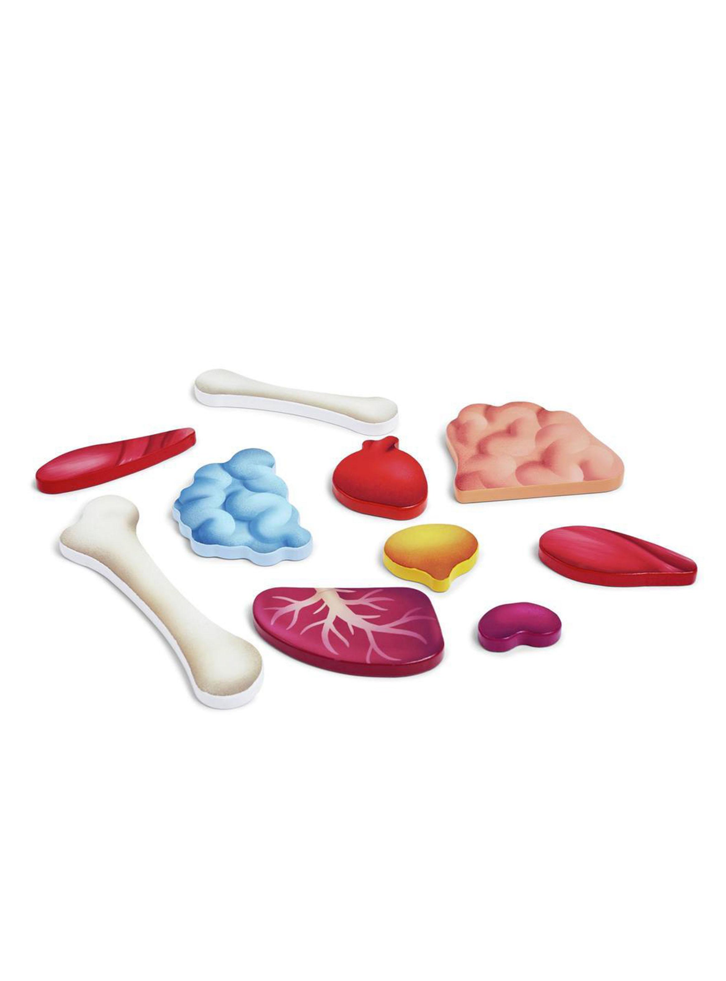 Rompecabezas del Cuerpo Humano-2