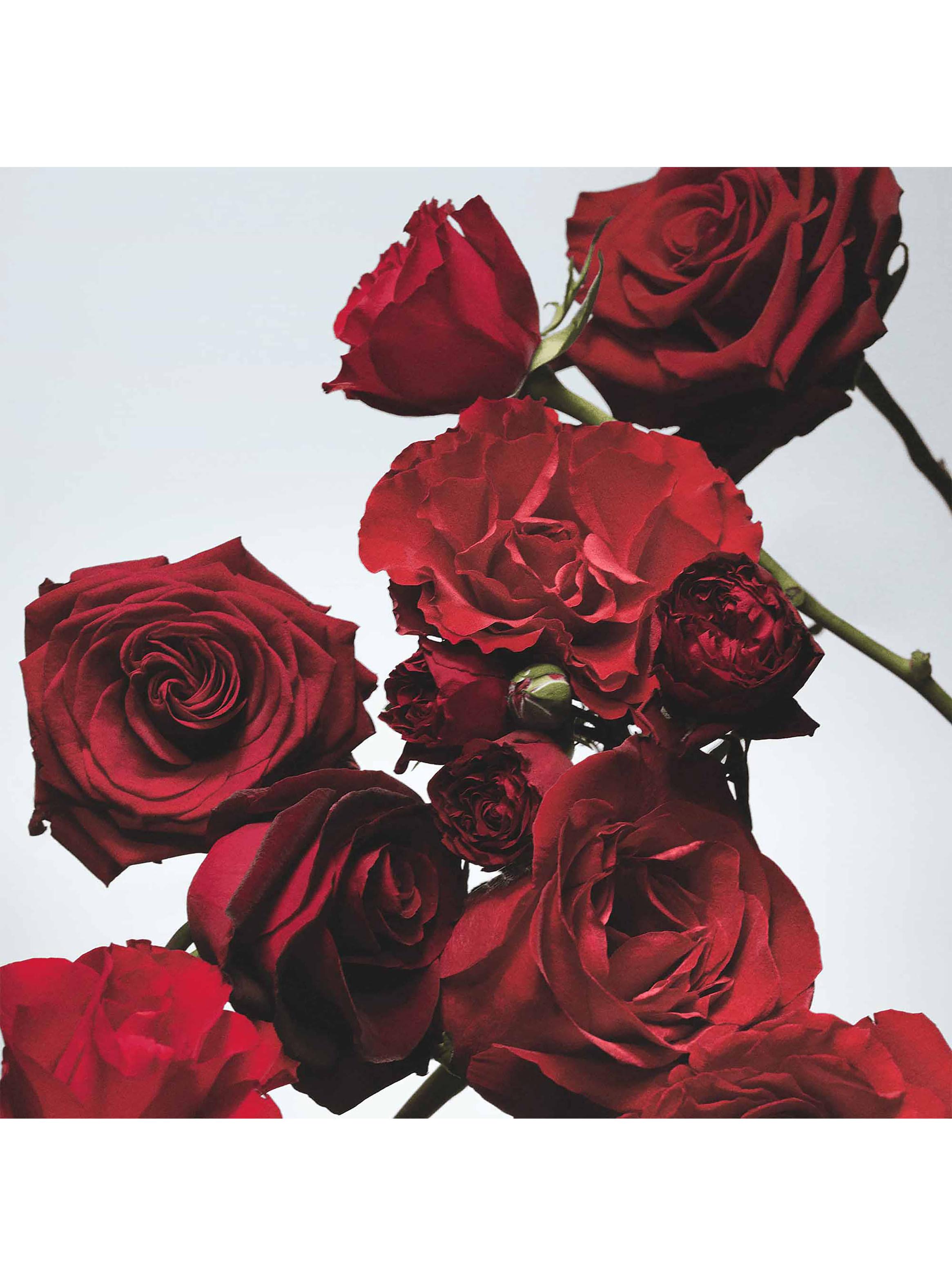 Colonia Red Roses EDC Unisex 100ml-3