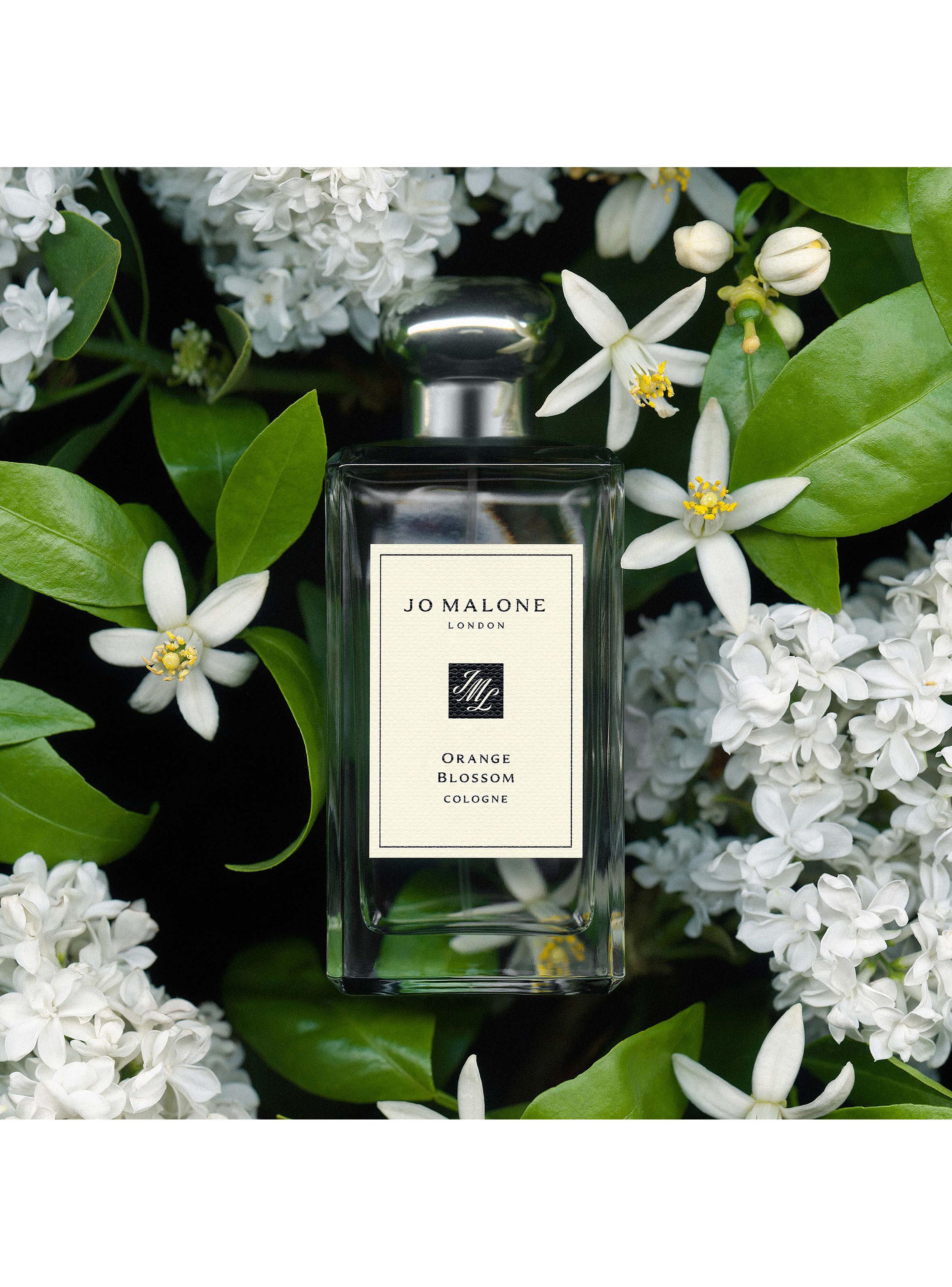 Colonia Orange Blossom EDC Unisex 100ml-2