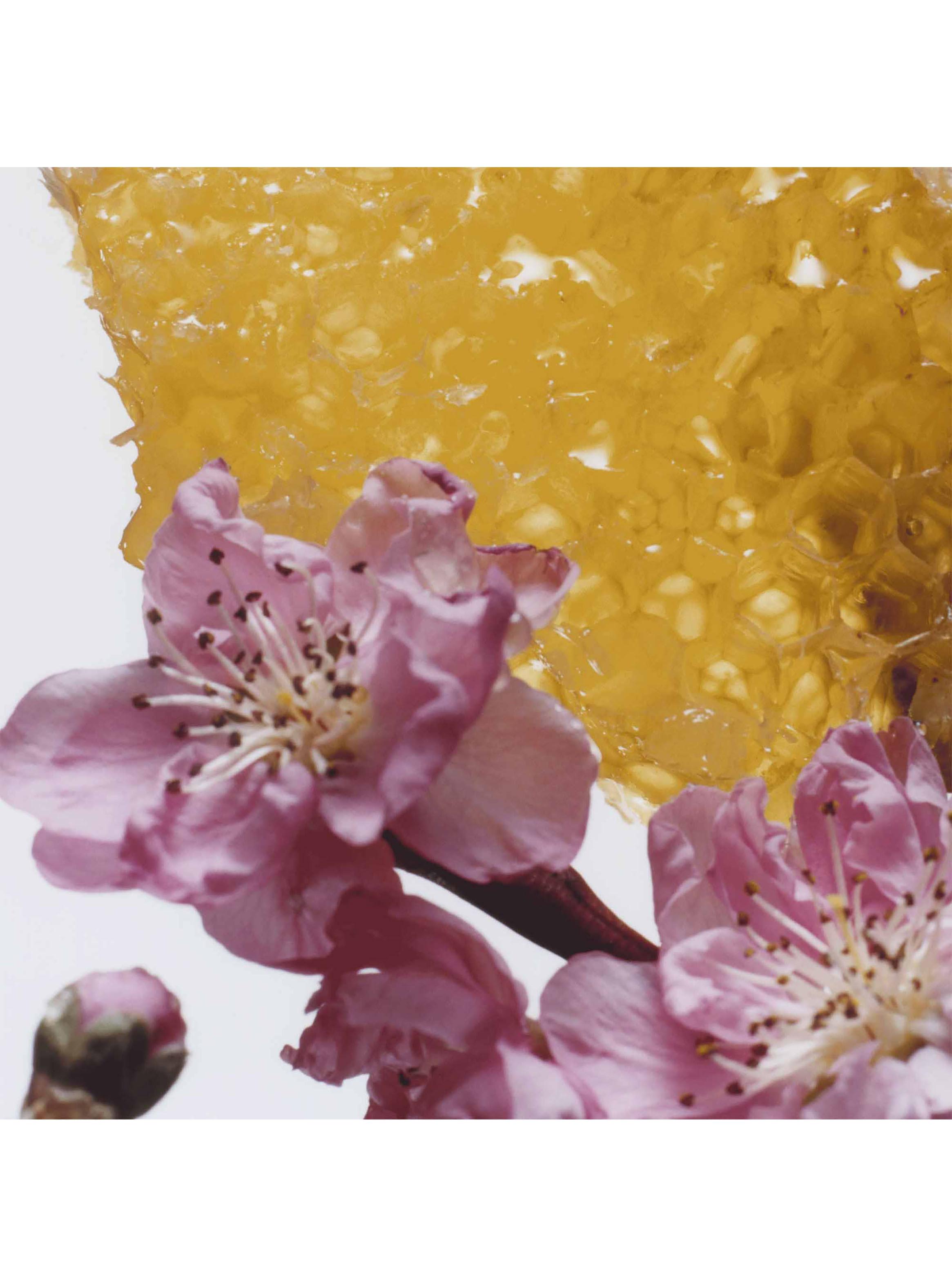 Colonia Nectarine Blossom & Honey EDC Unisex 100ml-3